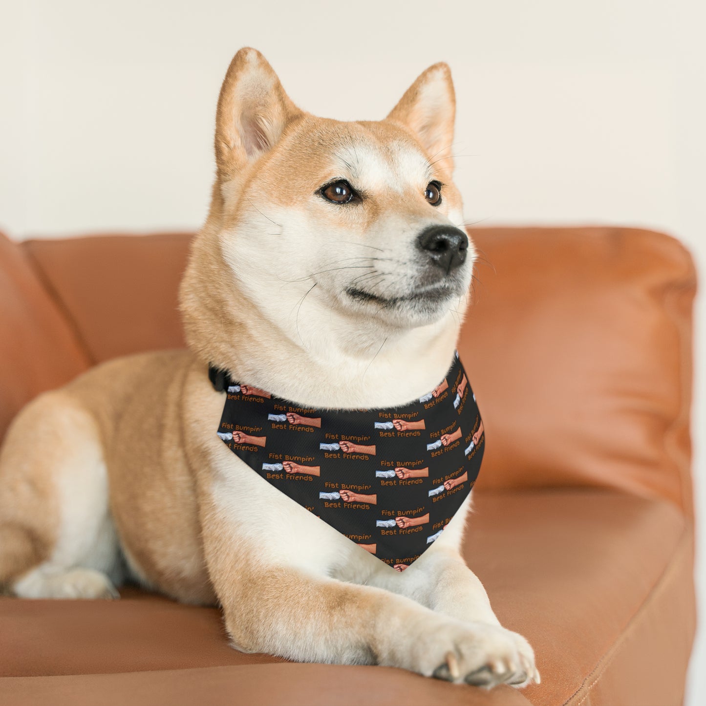 Fist Bumpin’ Best Friends Opie’s Cavalier King Charles Spaniel Pet Bandana Collar Black with Cavalier Brown lettering.