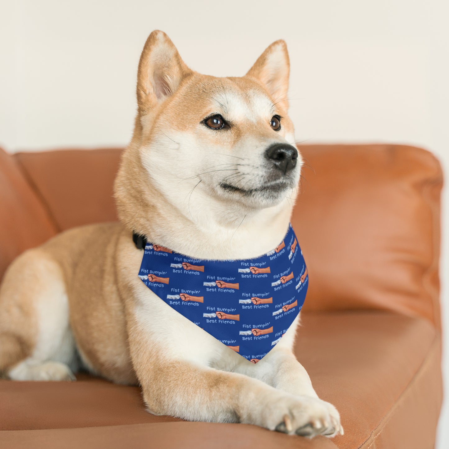 Fist Bumpin’ Best Friends Opie’s Cavalier King Charles Spaniel Paw Pet Bandana Collar Blue with Light Blue lettering