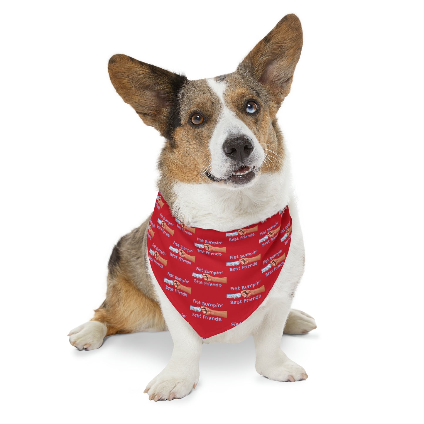 Fist Bumpin’ Best Friends Opie’s Cavalier King Charles Spaniel Paw Pet Bandana Collar Red with Light Blue lettering.