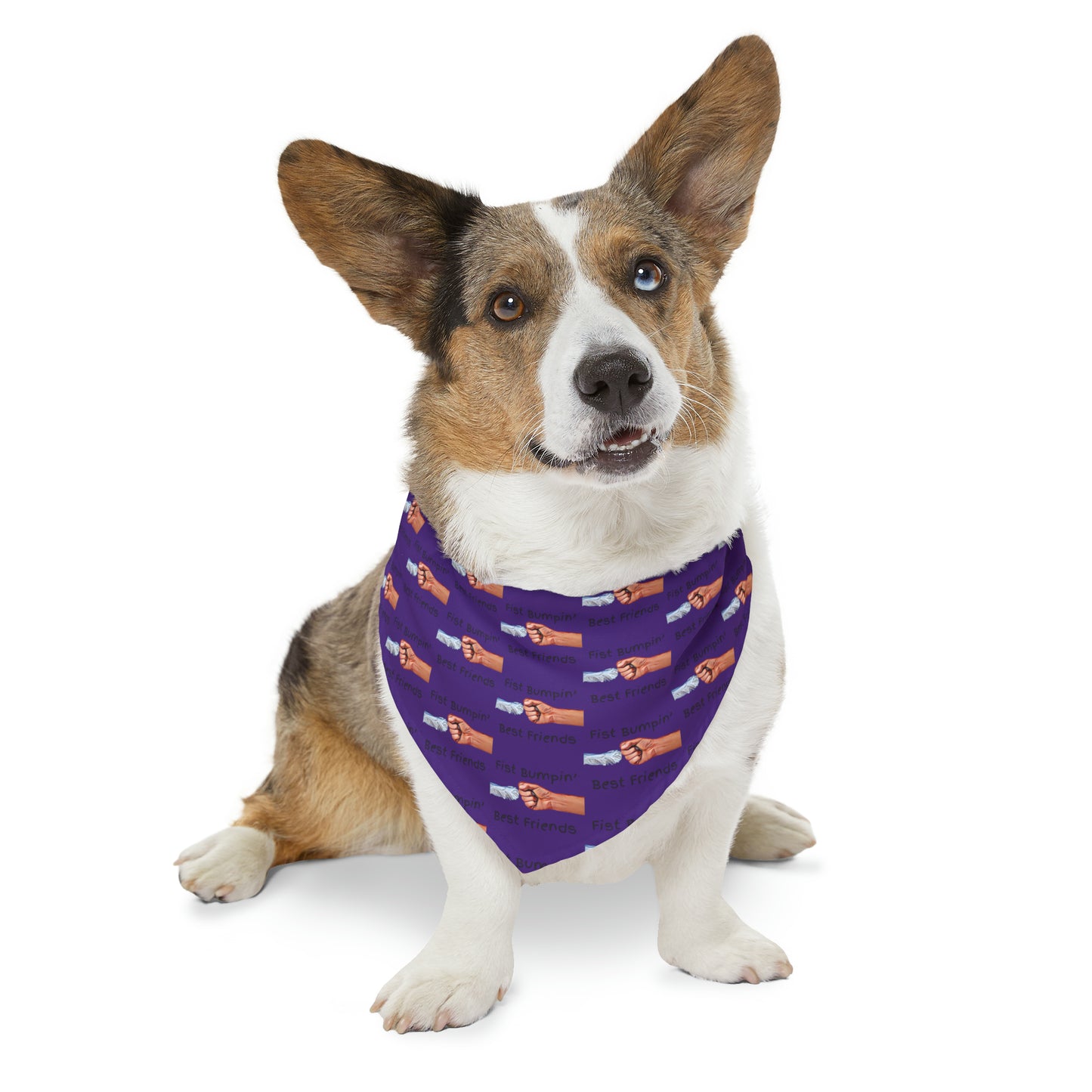 Fist Bumpin’ Best Friends Opie’s Cavalier King Charles Spaniel Pet Bandana Collar Purple with Black lettering.