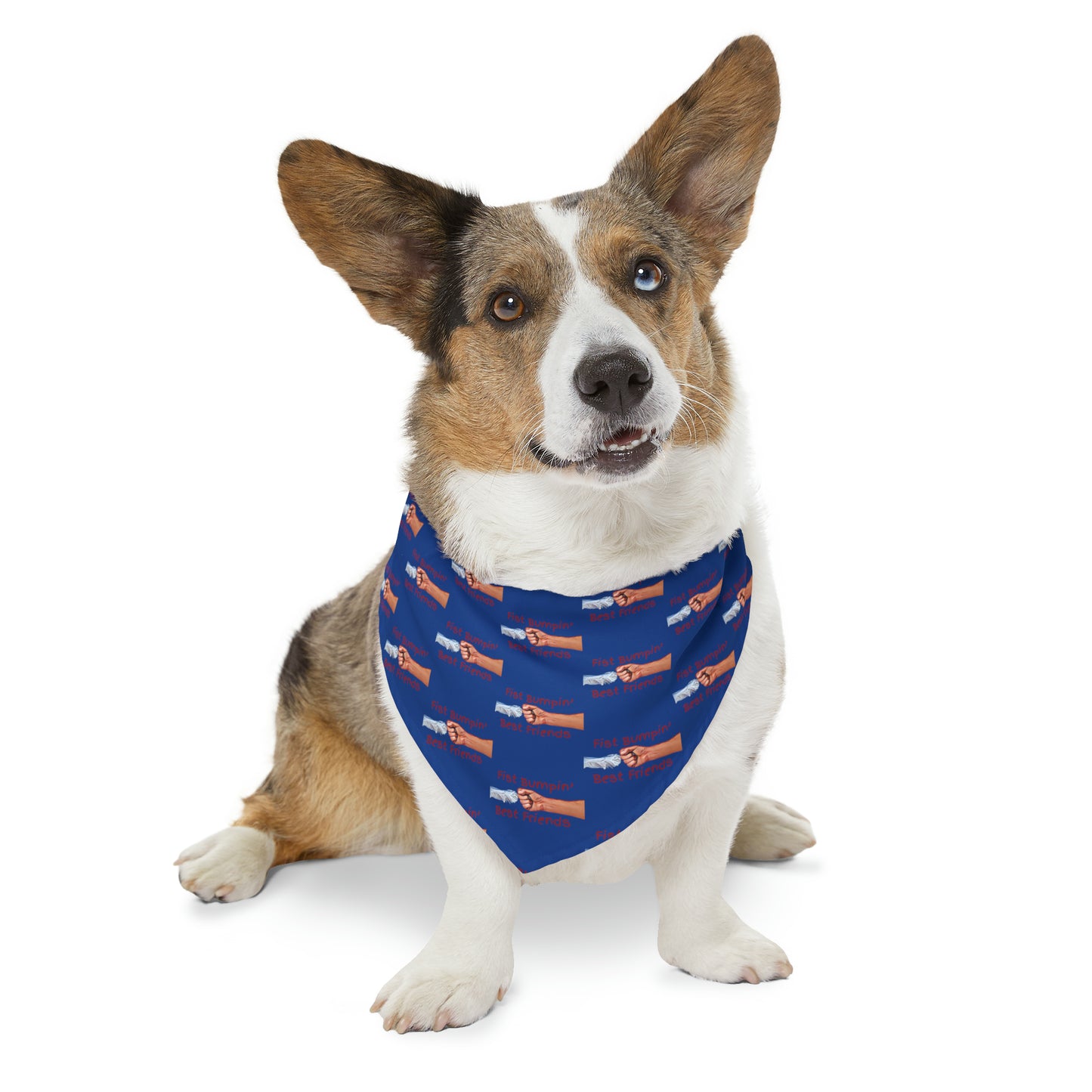 Fist Bumpin’ Best Friends Opie’s Cavalier King Charles Spaniel Pet Bandana Collar Blue with Red lettering.