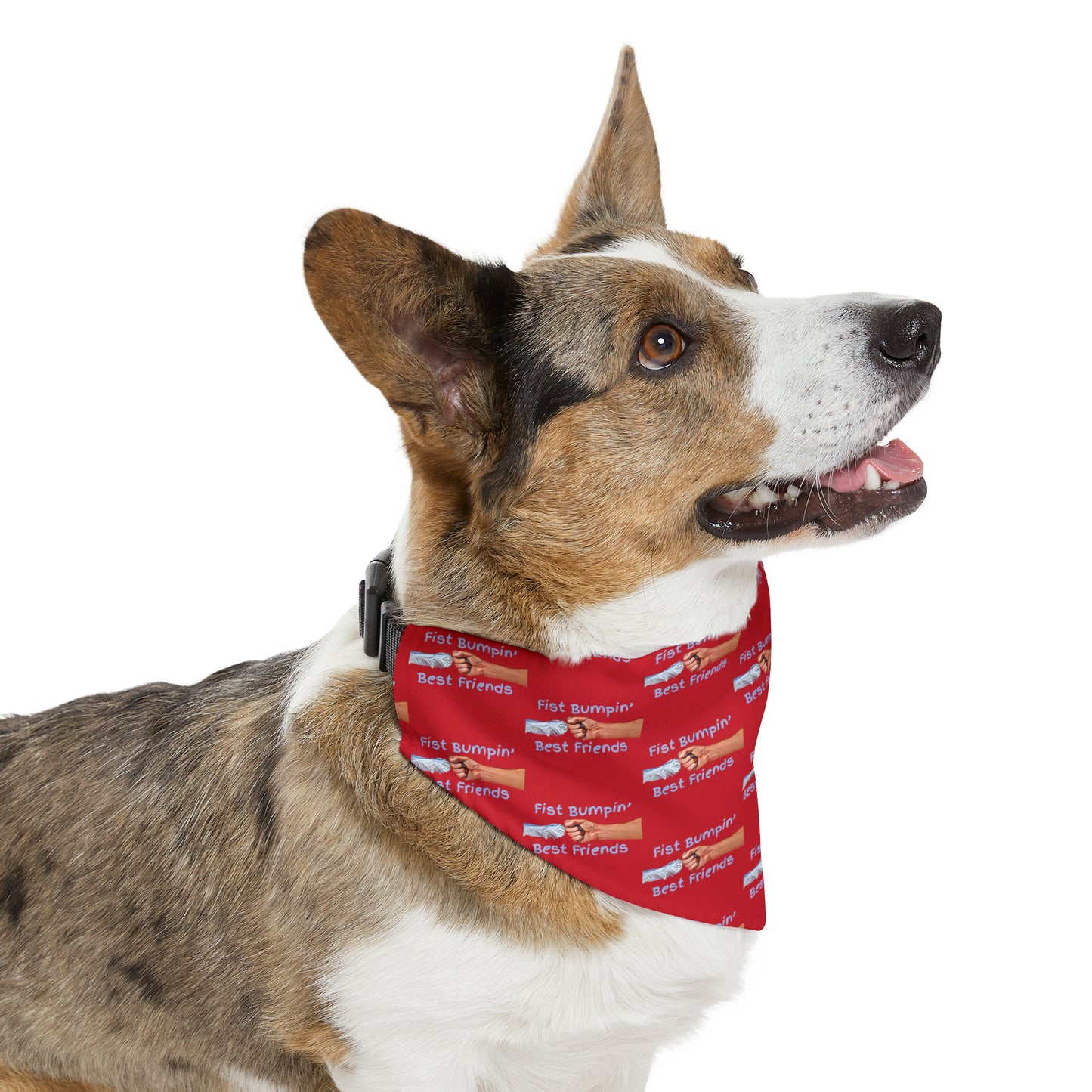 Fist Bumpin’ Best Friends Opie’s Cavalier King Charles Spaniel Paw Pet Bandana Collar Red with Light Blue lettering.