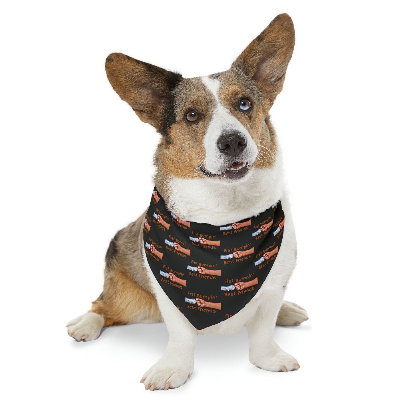 Fist Bumpin’ Best Friends Opie’s Cavalier King Charles Spaniel Pet Bandana Collar Black with Cavalier Brown lettering.