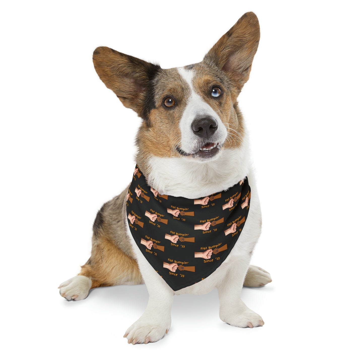 Cavalier Brown Paw Fist Bumpin’ Since ‘23 Black Pet Bandana Collar