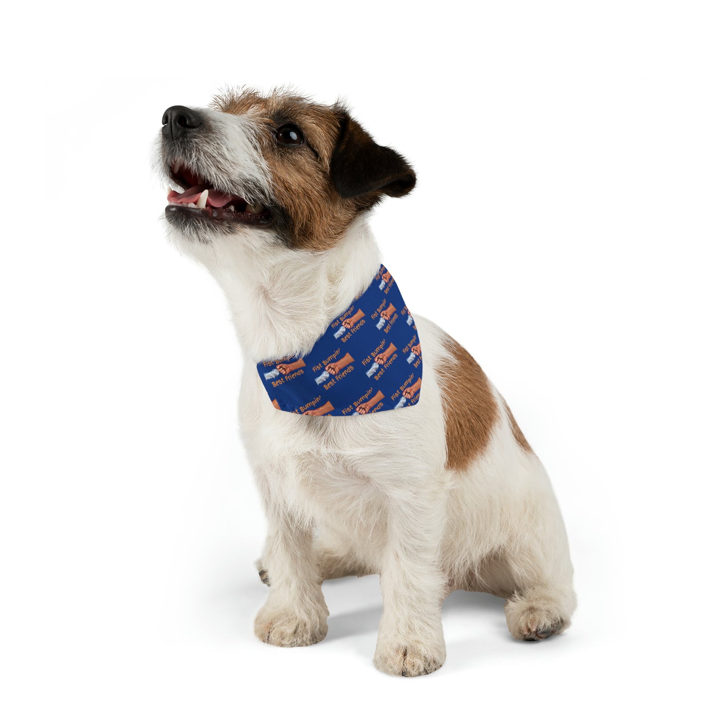 Fist Bumpin’ Best Friends Opie’s Cavalier King Charles Spaniel Pet Bandana Collar Dark Blue with Gold lettering.