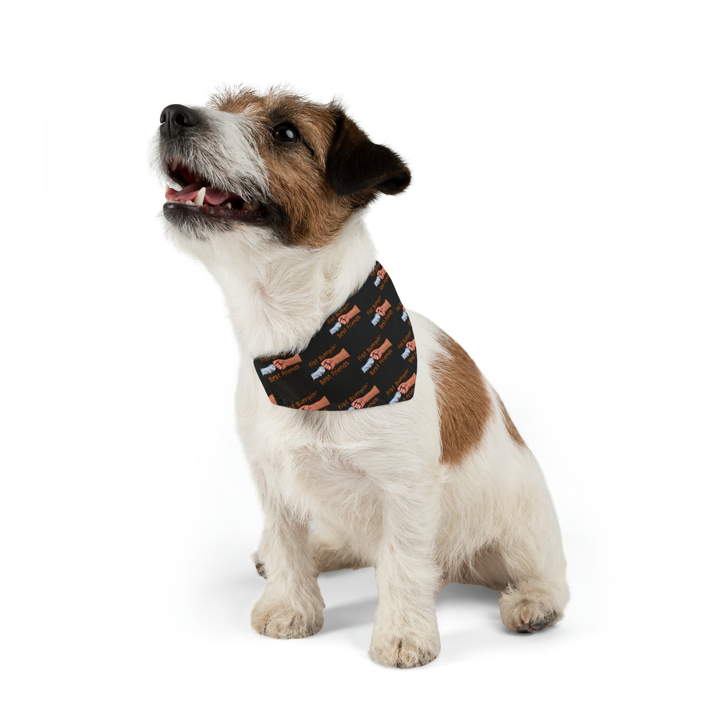 Fist Bumpin’ Best Friends Opie’s Cavalier King Charles Spaniel Pet Bandana Collar Black with Cavalier Brown lettering.