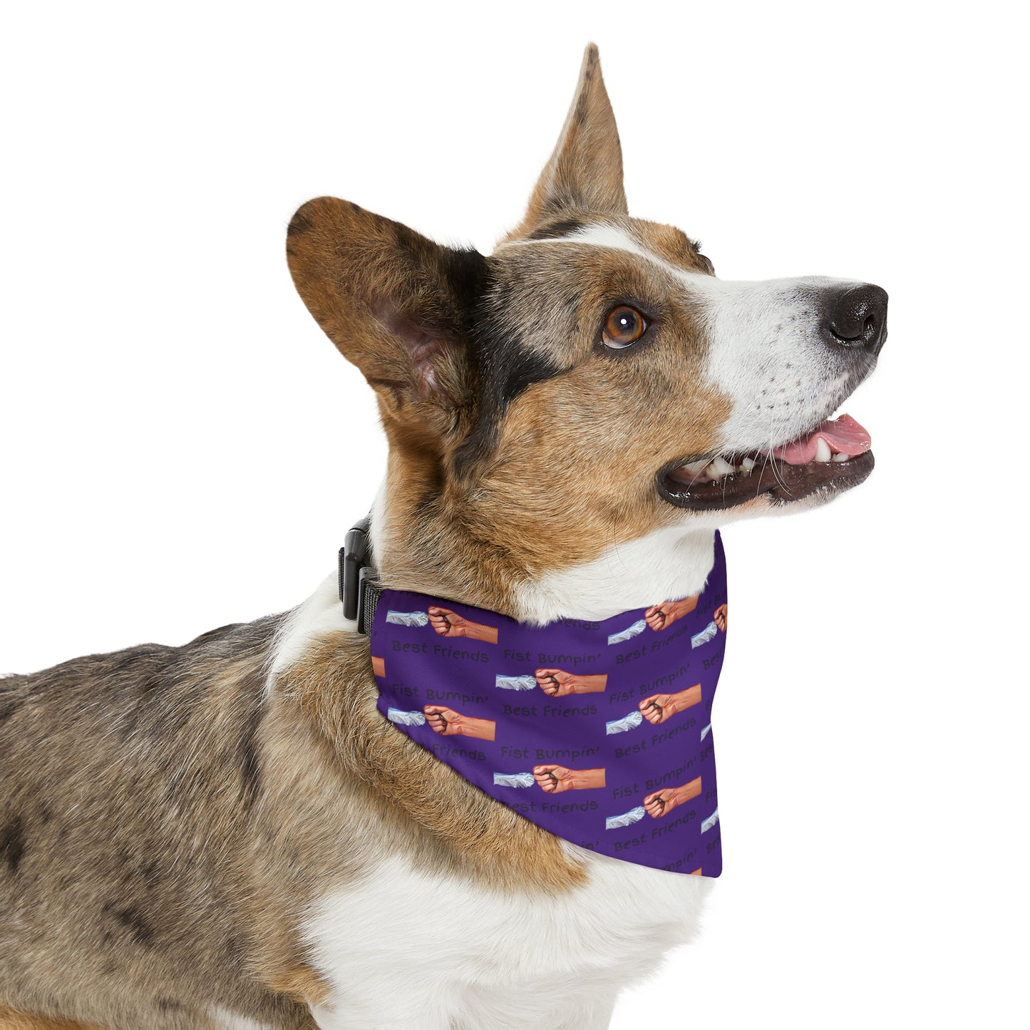 Fist Bumpin’ Best Friends Opie’s Cavalier King Charles Spaniel Pet Bandana Collar Purple with Black lettering.