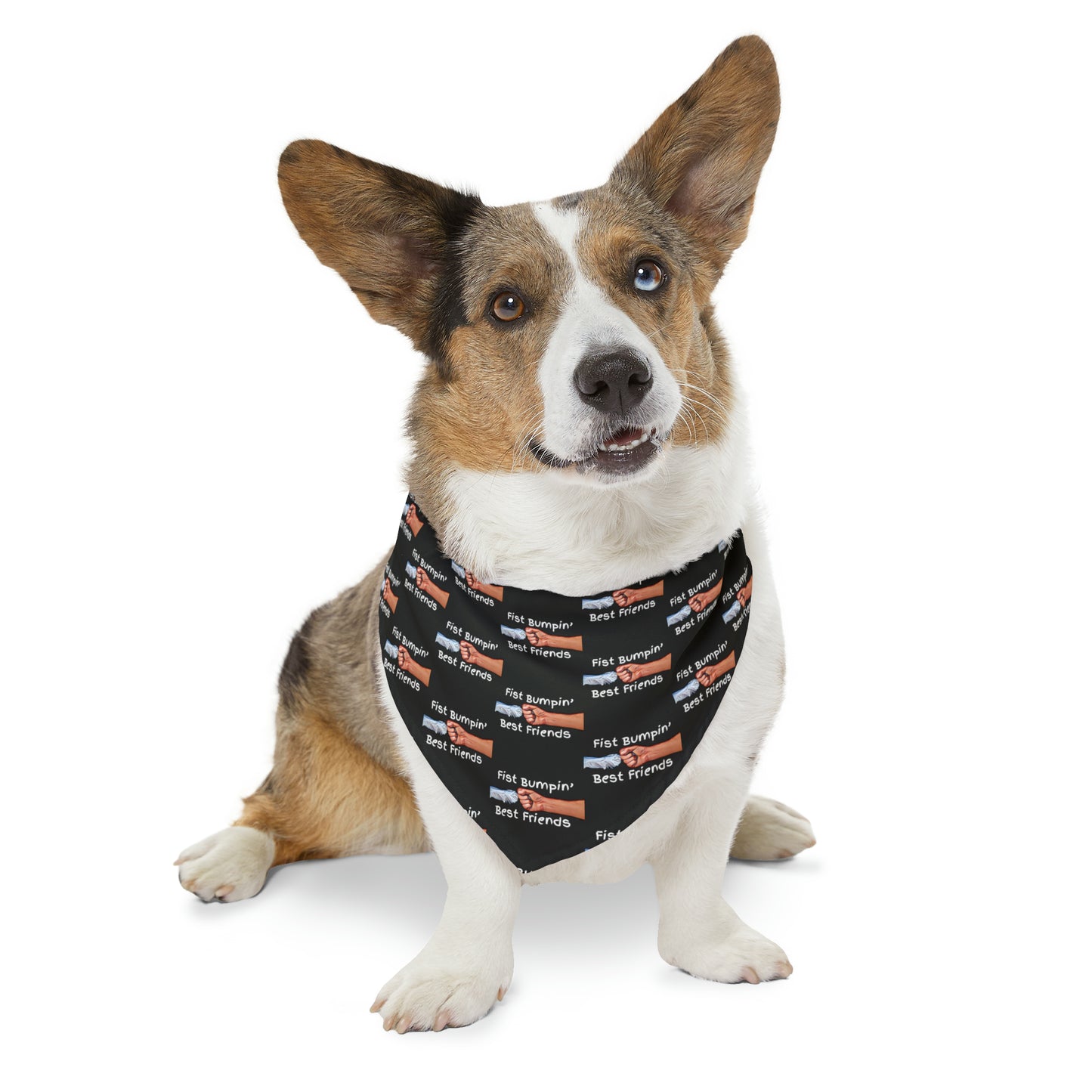 Fist Bumpin’ Best Friends Opie’s Cavalier King Charles Spaniel Paw Pet Bandana Collar Black with white lettering.