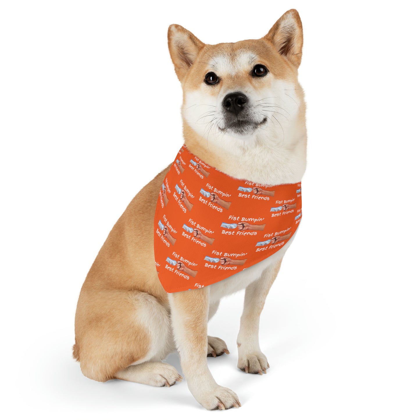 Fist Bumpin’ Best Friends Opie’s Cavalier King Charles Spaniel Paw Pet Bandana Collar Orange with White lettering.