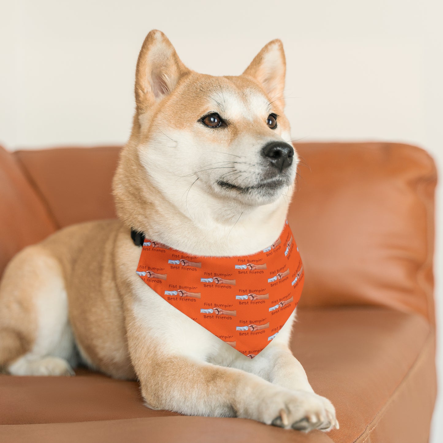 Fist Bumpin’ Best Friends Opie’s Cavalier King Charles Paw Pet Bandana Collar Orange with Red lettering.