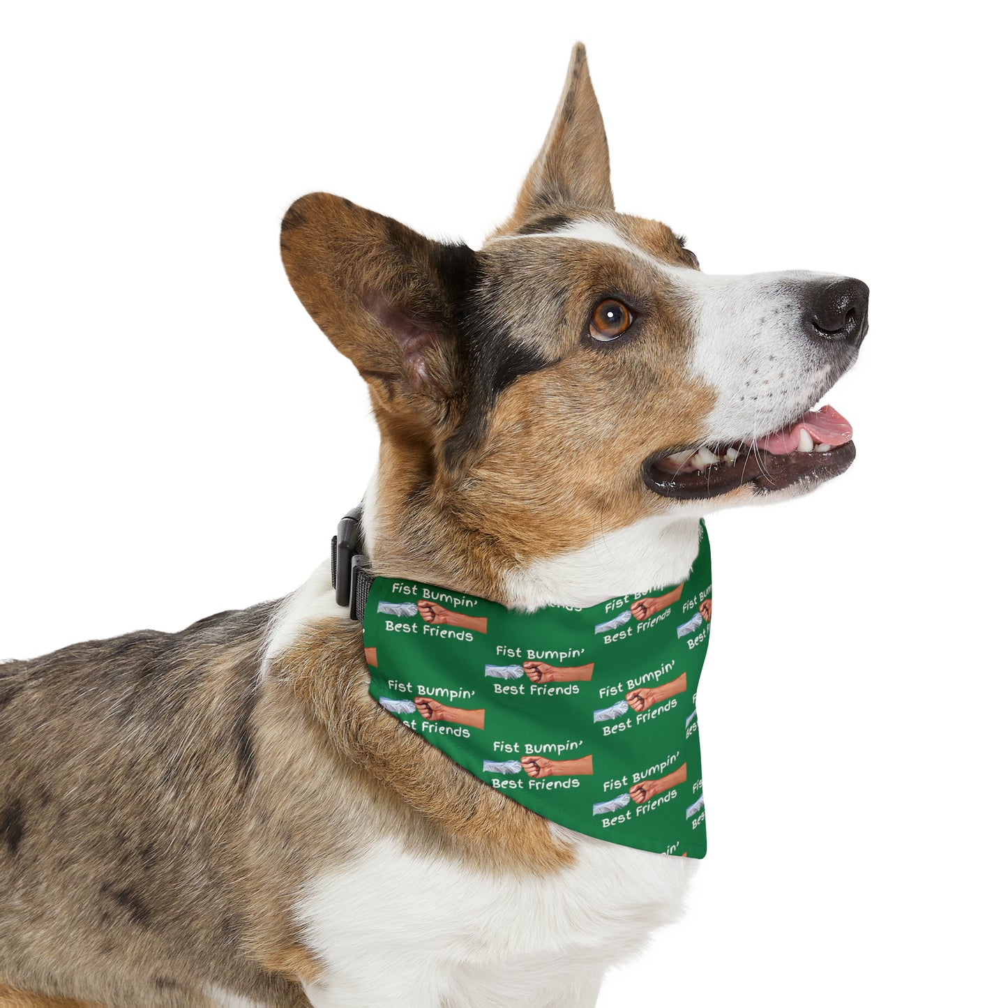 Fist Bumpin’ Best Friends Opie’s Cavalier King Charles Spaniel Pet Bandana Collar Green with White lettering.