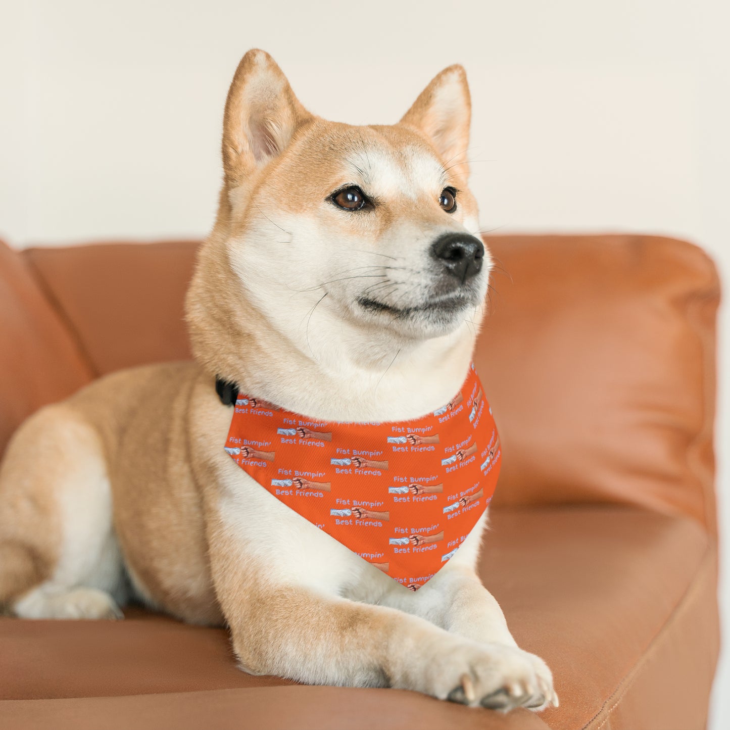 Fist Bumpin’ Best Friends Opie’s Cavalier King Charles Spaniel Paw Pet Bandana Collar Orange with Light Blue.