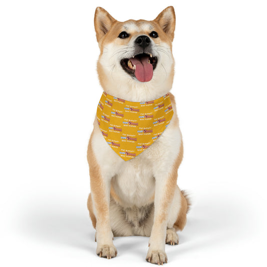 Fist Bumpin’ Best Friends Opie’s Cavalier King Charles Paw Pet Bandana Collar Yellow with White lettering.