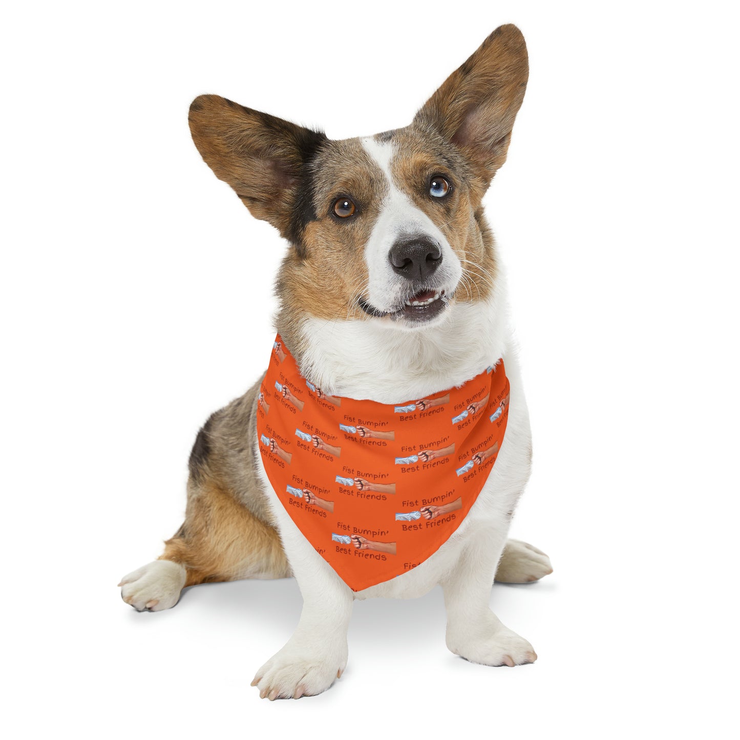 Fist Bumpin’ Best Friends Opie’s Cavalier King Charles Paw Pet Bandana Collar Orange with Red lettering.