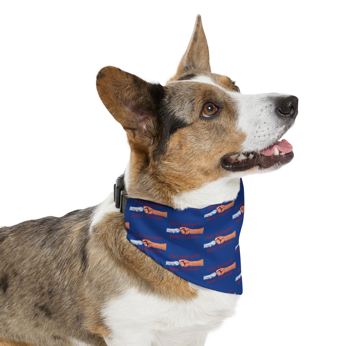 Fist Bumpin’ Best Friends Opie’s Cavalier King Charles Spaniel Pet Bandana Collar Blue with Red lettering.