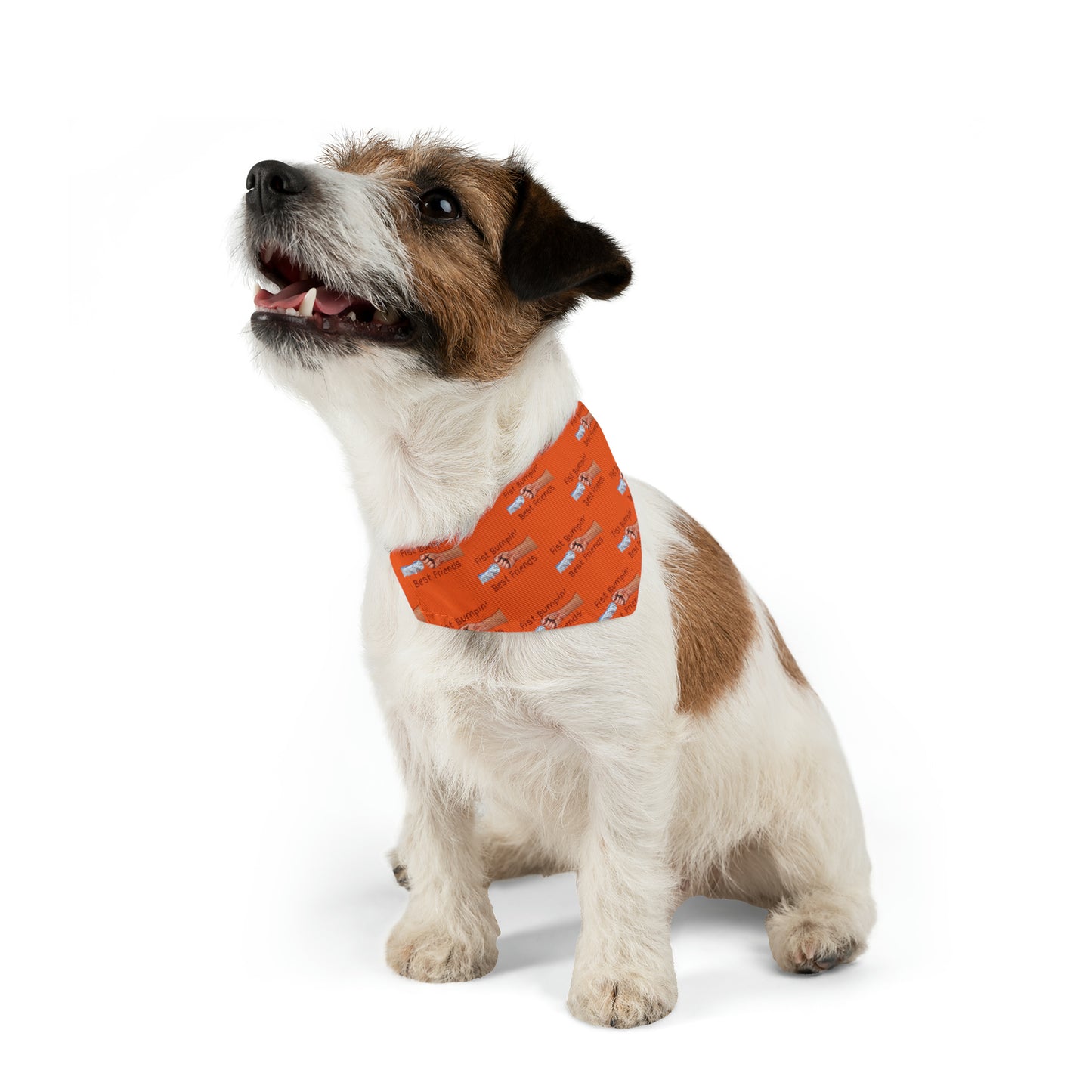 Fist Bumpin’ Best Friends Opie’s Cavalier King Charles Paw Pet Bandana Collar Orange with Red lettering.