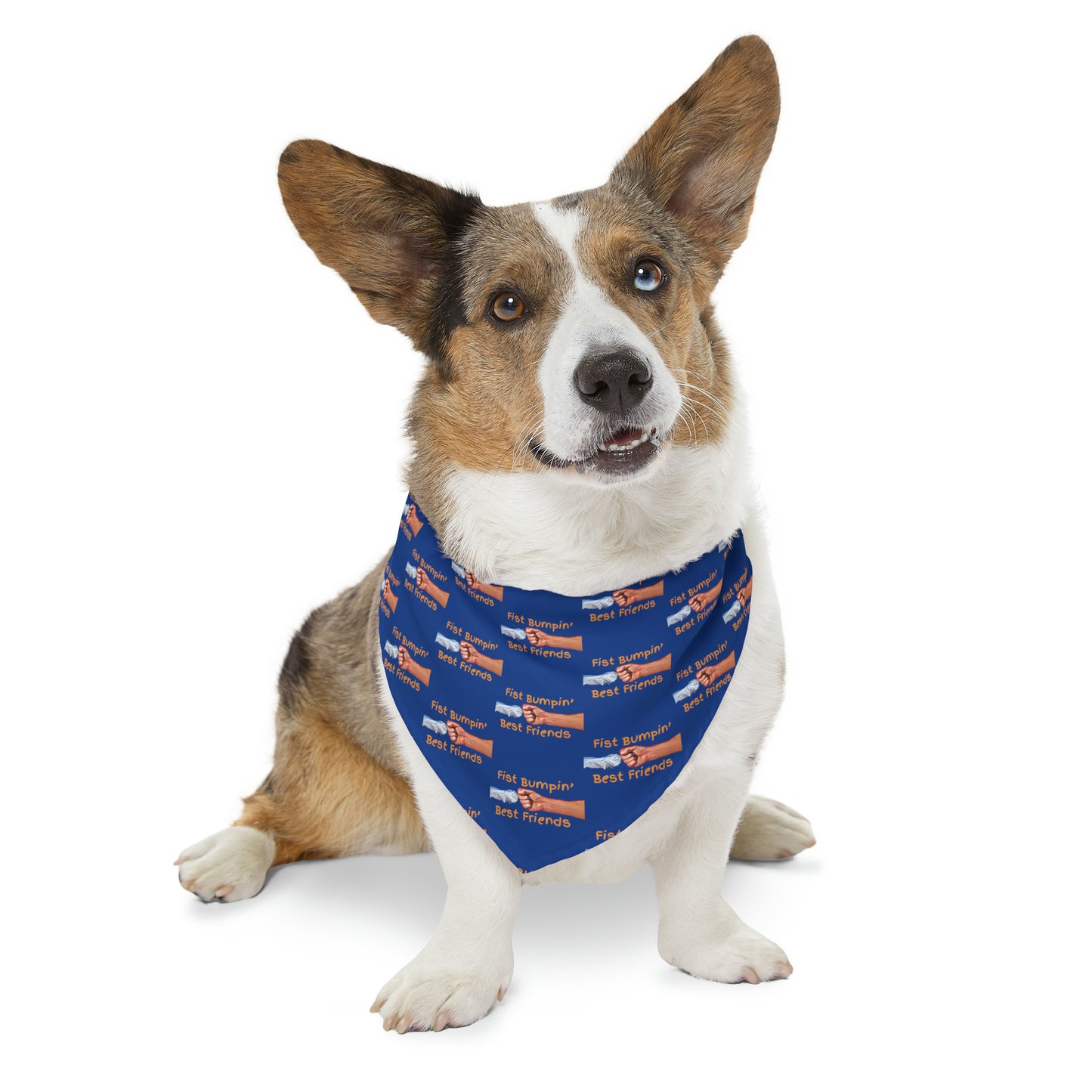 Fist Bumpin’ Best Friends Opie’s Cavalier King Charles Spaniel Pet Bandana Collar Dark Blue with Gold lettering.