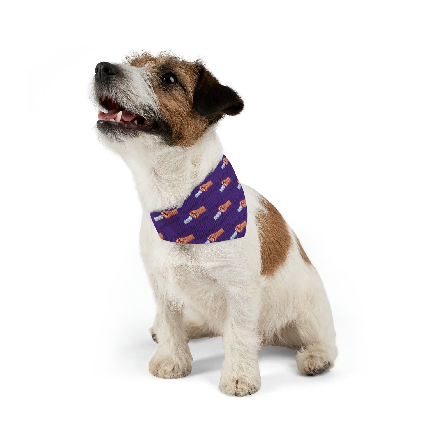 Fist Bumpin’ Best Friends Opie’s Cavalier King Charles Spaniel Pet Bandana Collar Purple with Black lettering.