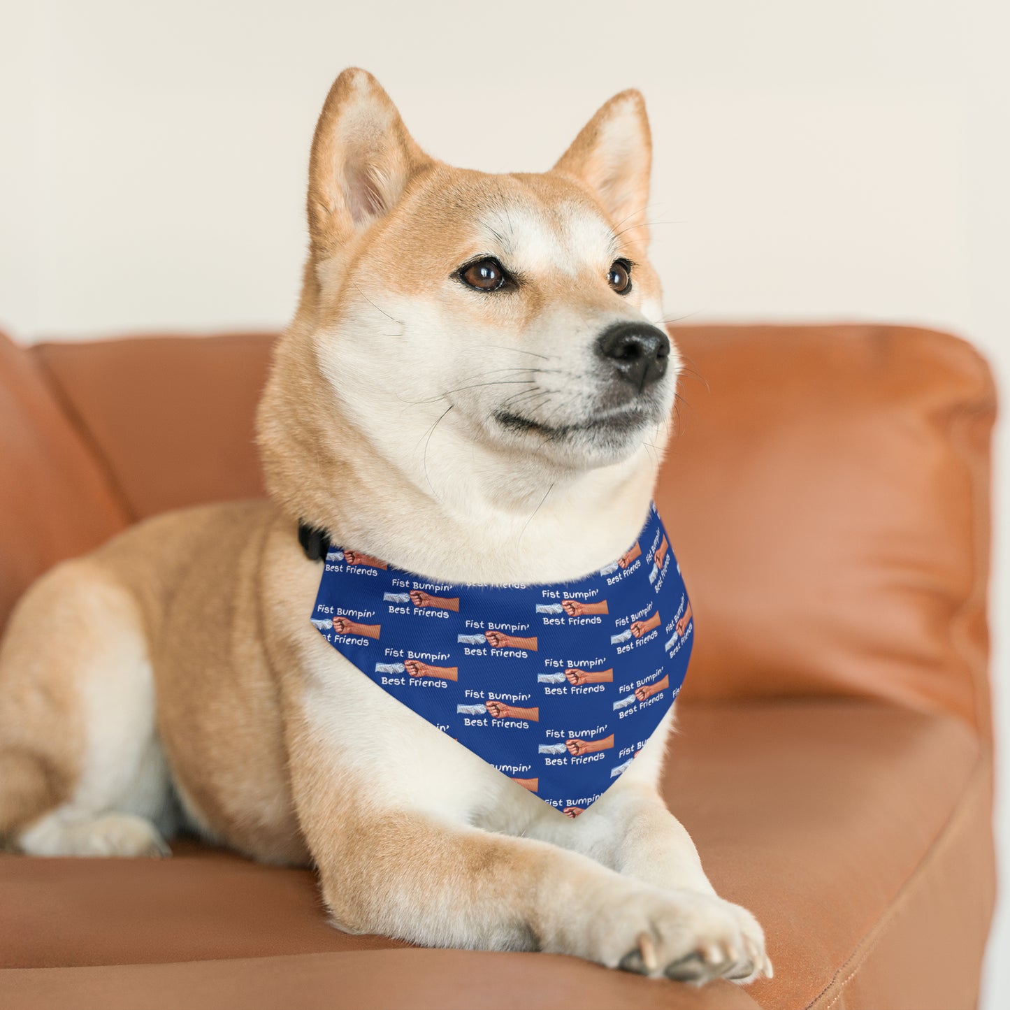 Fist Bumpin’ Best Friends Opie’s Cavalier King Charles Spaniel Pet Bandana Collar Blue with White lettering.