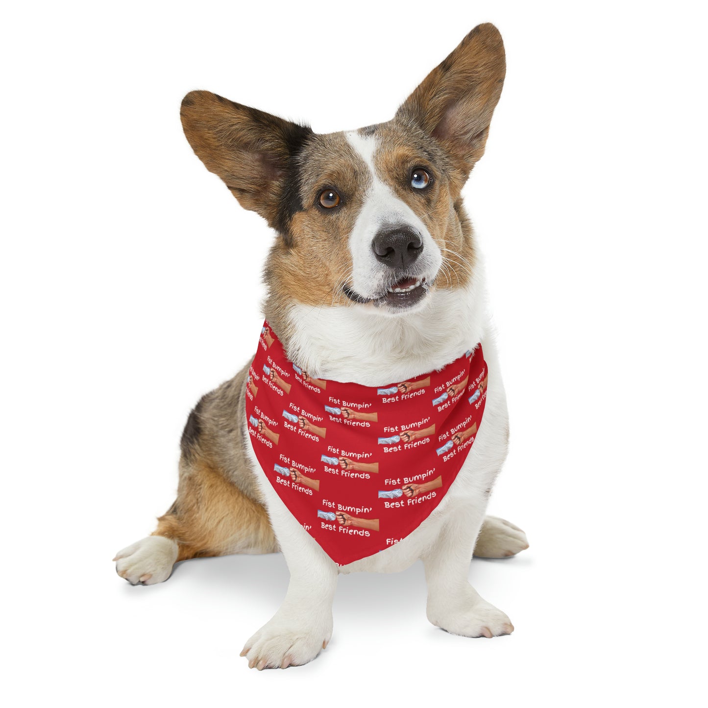 Fist Bumpin’ Best Friends Opie’s Cavalier King Charles Spaniel Paw Pet Bandana Collar Red with White lettering