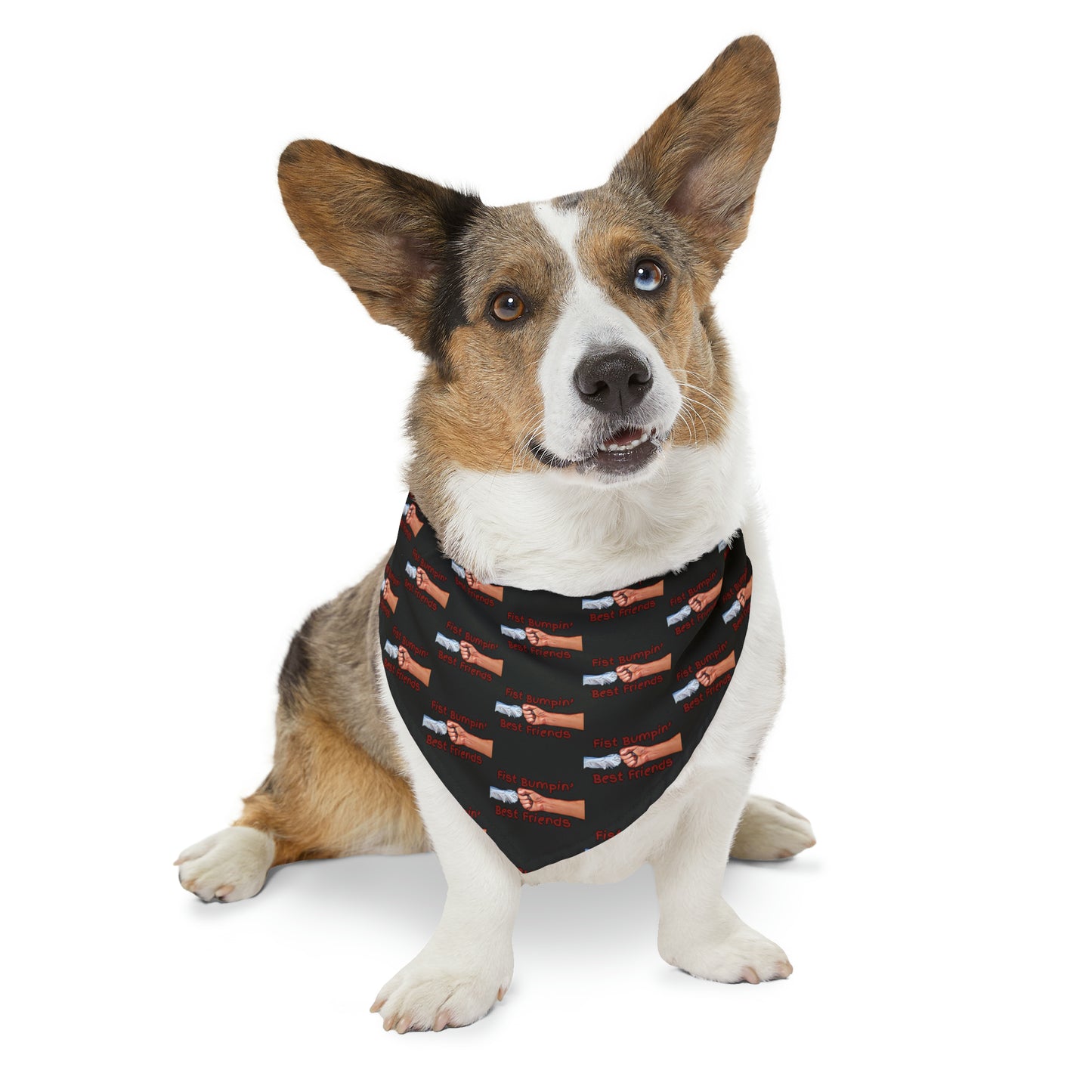 Fist Bumpin’ Best Friends Opie’s Cavalier King Charles Spaniel Paw Pet Bandana Collar Black with Red lettering.