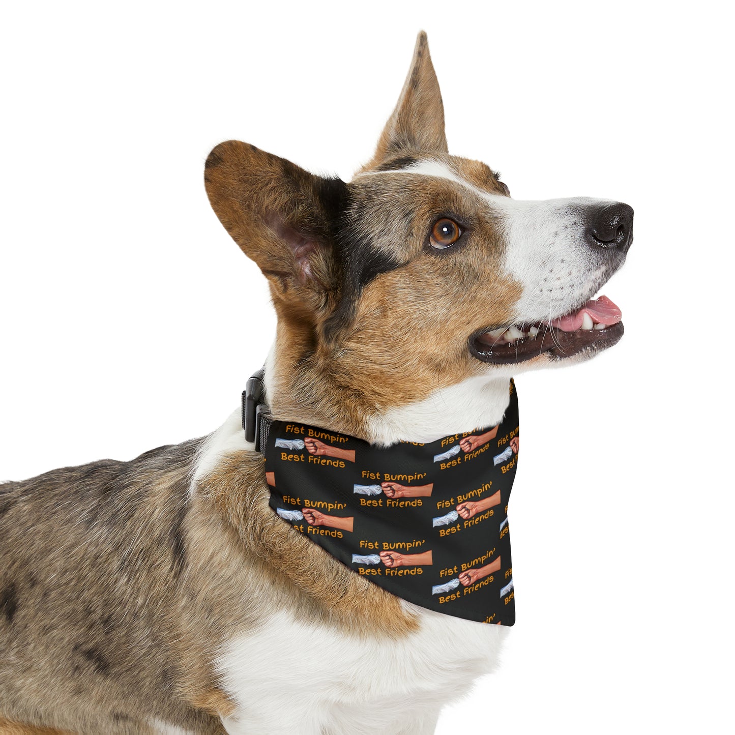 Fist Bumpin’ Best Friends Opie’s Cavalier King Charles Spaniel Paw Pet Bandana Collar Black with Gold lettering.