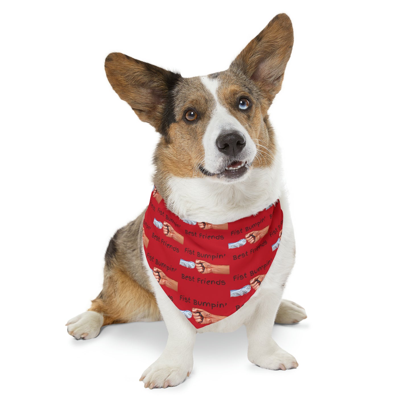 Fist Bumpin’ Best Friends Opie’s Cavalier King Charles Spaniel Paw Pet Bandana Collar Red with Black lettering.