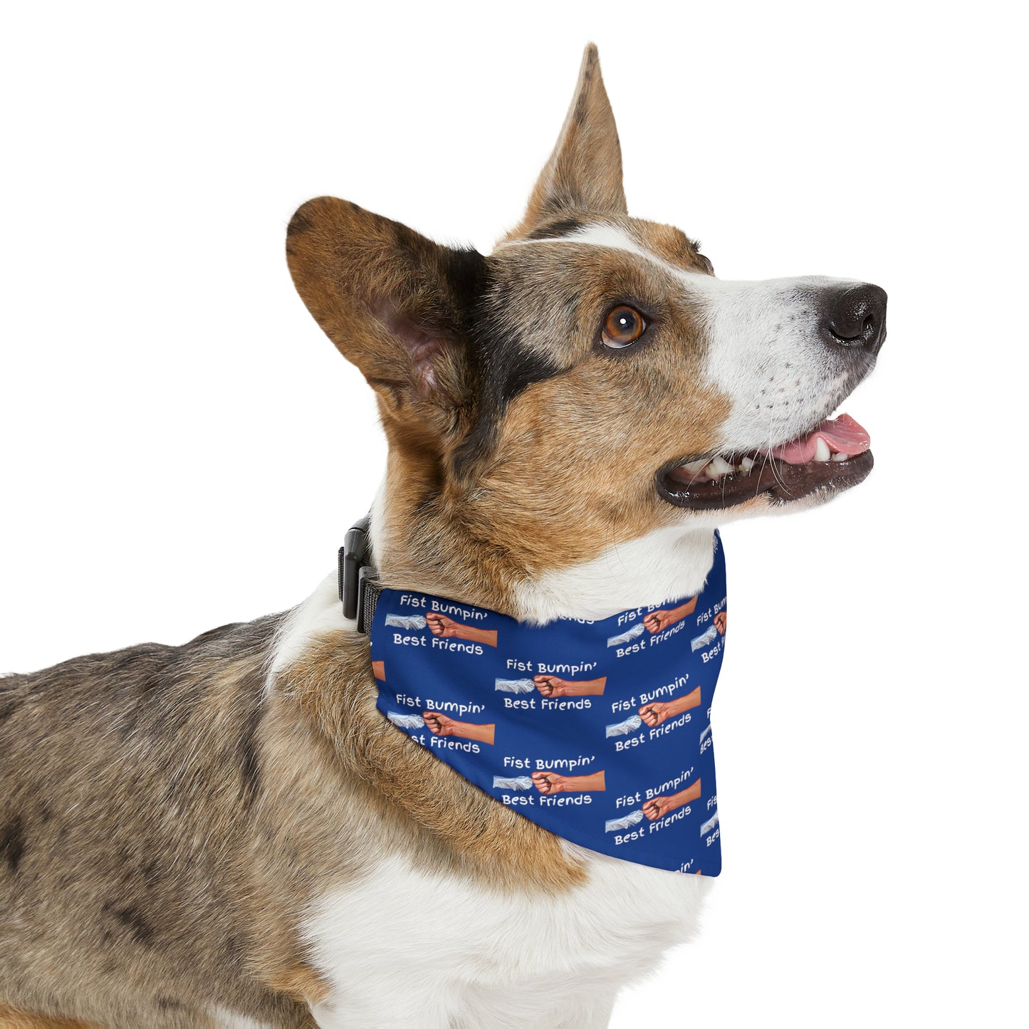 Fist Bumpin’ Best Friends Opie’s Cavalier King Charles Spaniel Pet Bandana Collar Blue with White lettering.