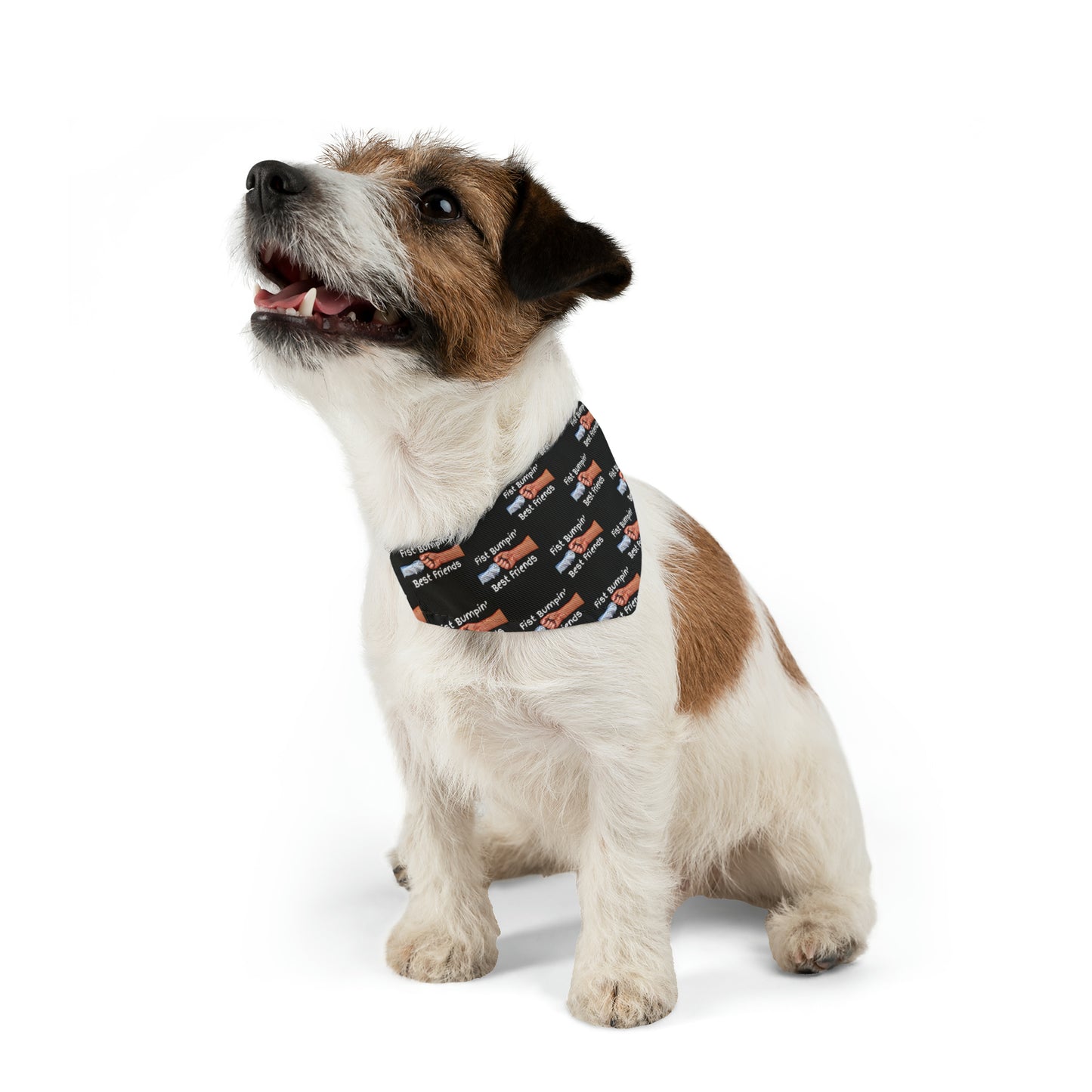 Fist Bumpin’ Best Friends Opie’s Cavalier King Charles Spaniel Paw Pet Bandana Collar Black with white lettering.
