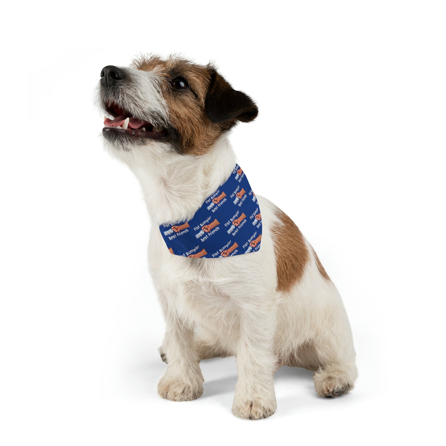 Fist Bumpin’ Best Friends Opie’s Cavalier King Charles Spaniel Pet Bandana Collar Blue with White lettering.