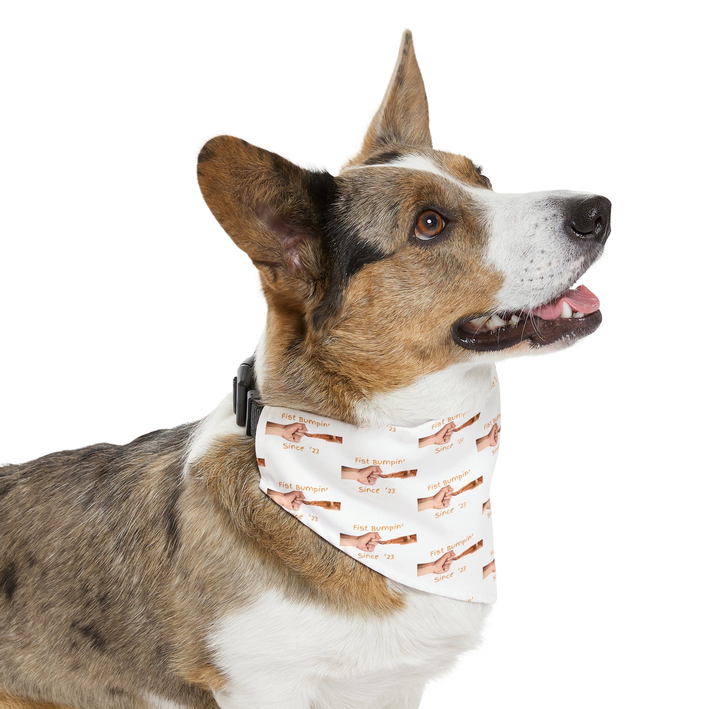Golden Retriever Paw Fist Bumpin’ Since ‘23 White Bandana Collar