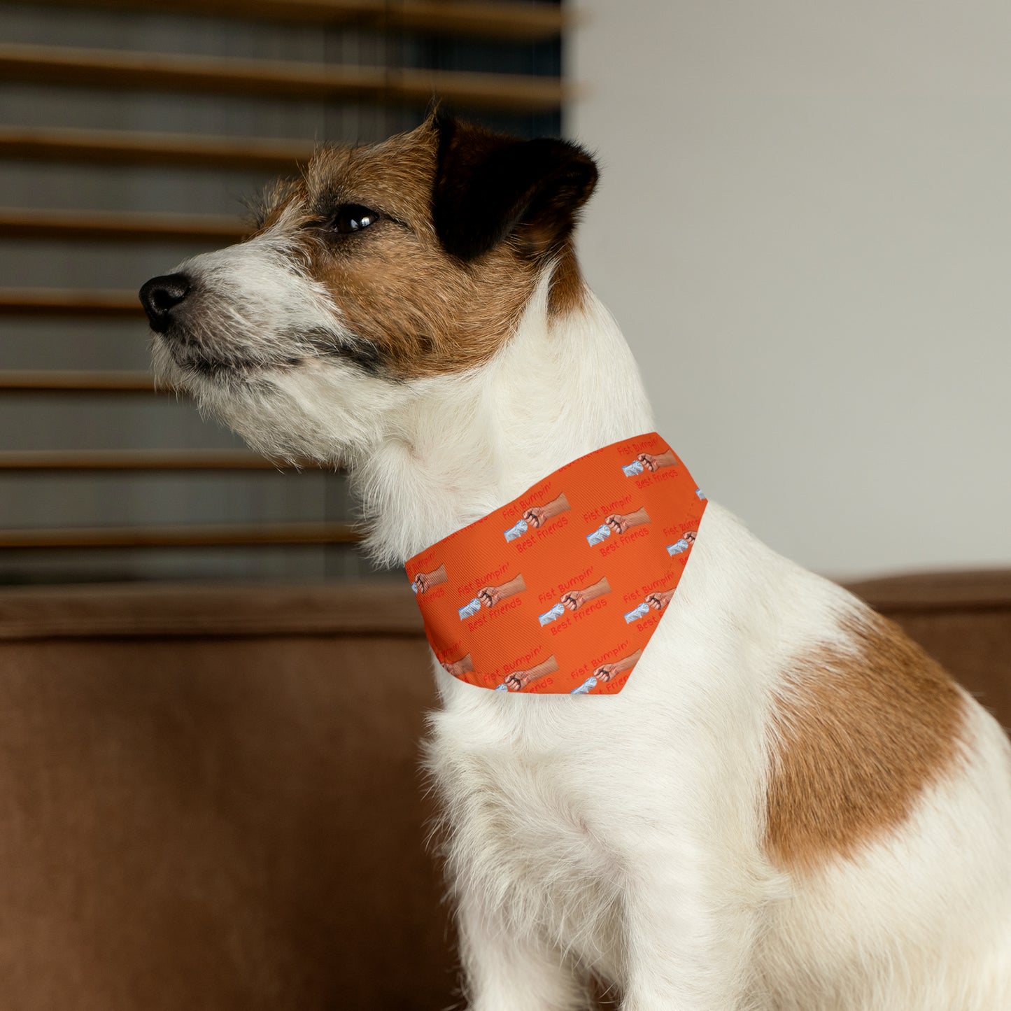 Fist Bumpin’ Best Friends Opie’s Cavalier King Charles Spaniel Paw Pet Bandana Collar Orange with KC Red lettering.