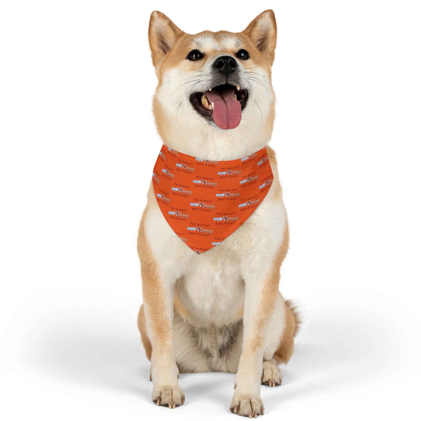 Fist Bumpin’ Best Friends Opie’s Cavalier King Charles Paw Pet Bandana Collar Orange with Red lettering.