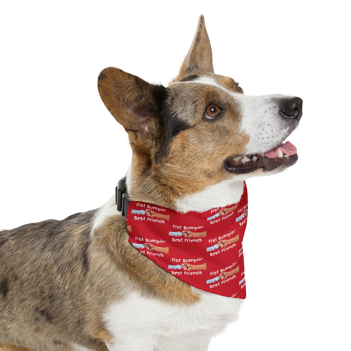 Fist Bumpin’ Best Friends Opie’s Cavalier King Charles Spaniel Paw Pet Bandana Collar Red with White lettering
