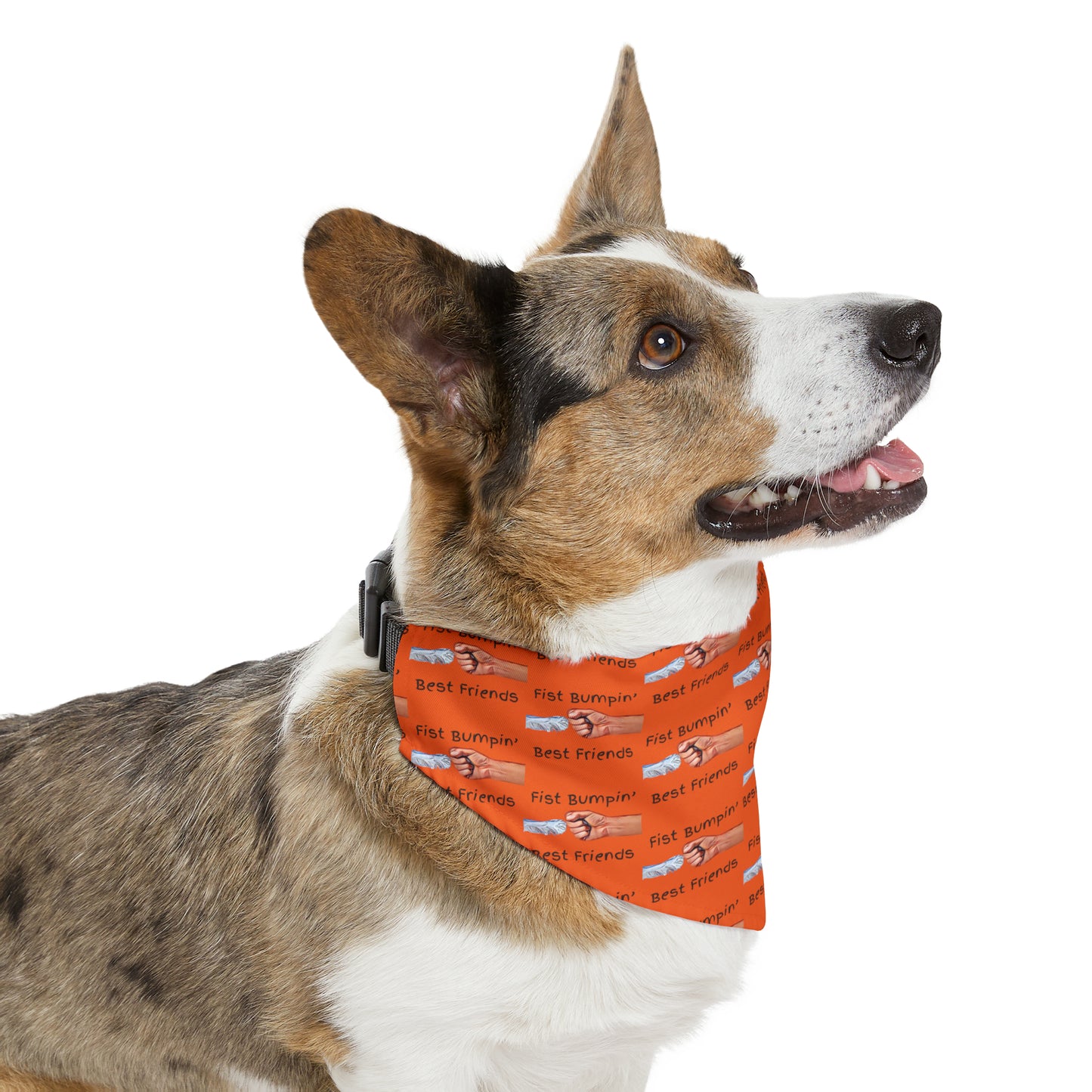 Fist Bumpin’ Best Friends Opie’s Cavalier King Charles Spaniel Paw Pet Bandana Collar Orange with Black lettering.