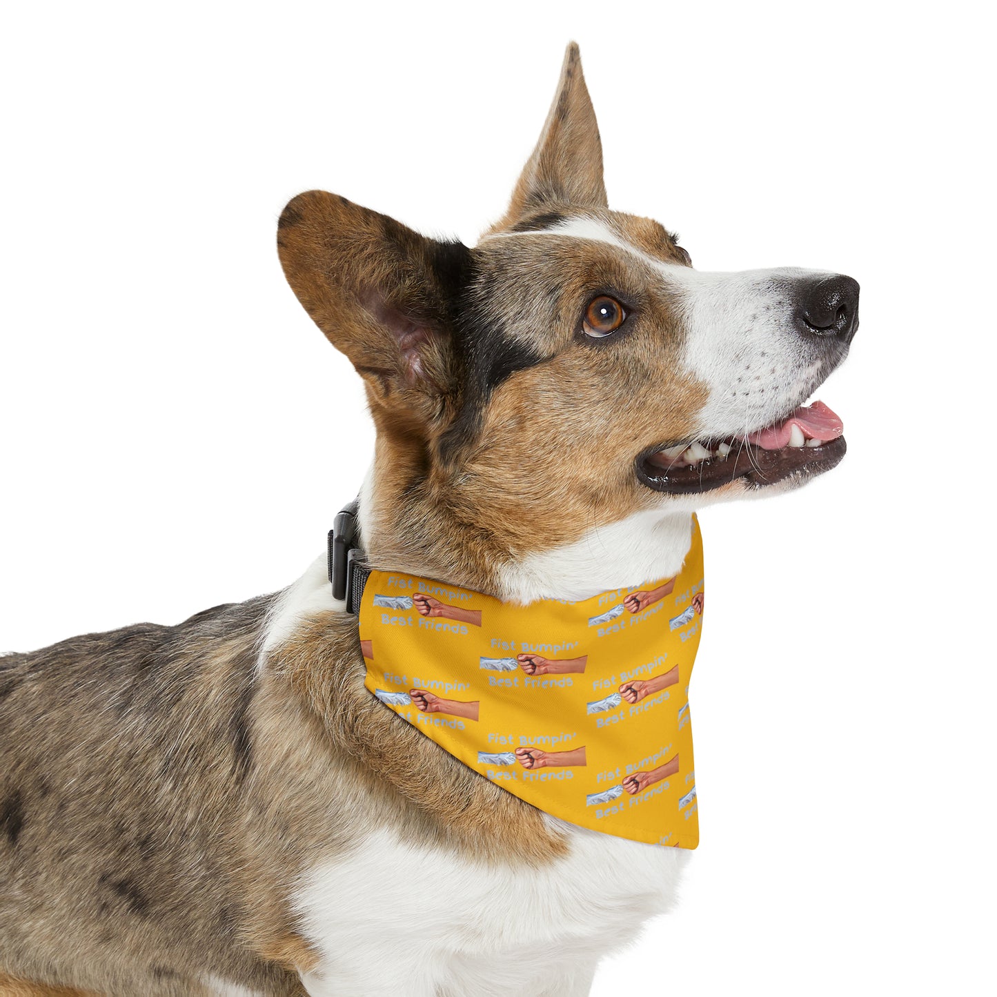 Fist Bumpin’ Best Friends Opie’s Cavalier King Charles Spaniel Paw Pet Bandana Collar Yellow with Light Blue lettering.