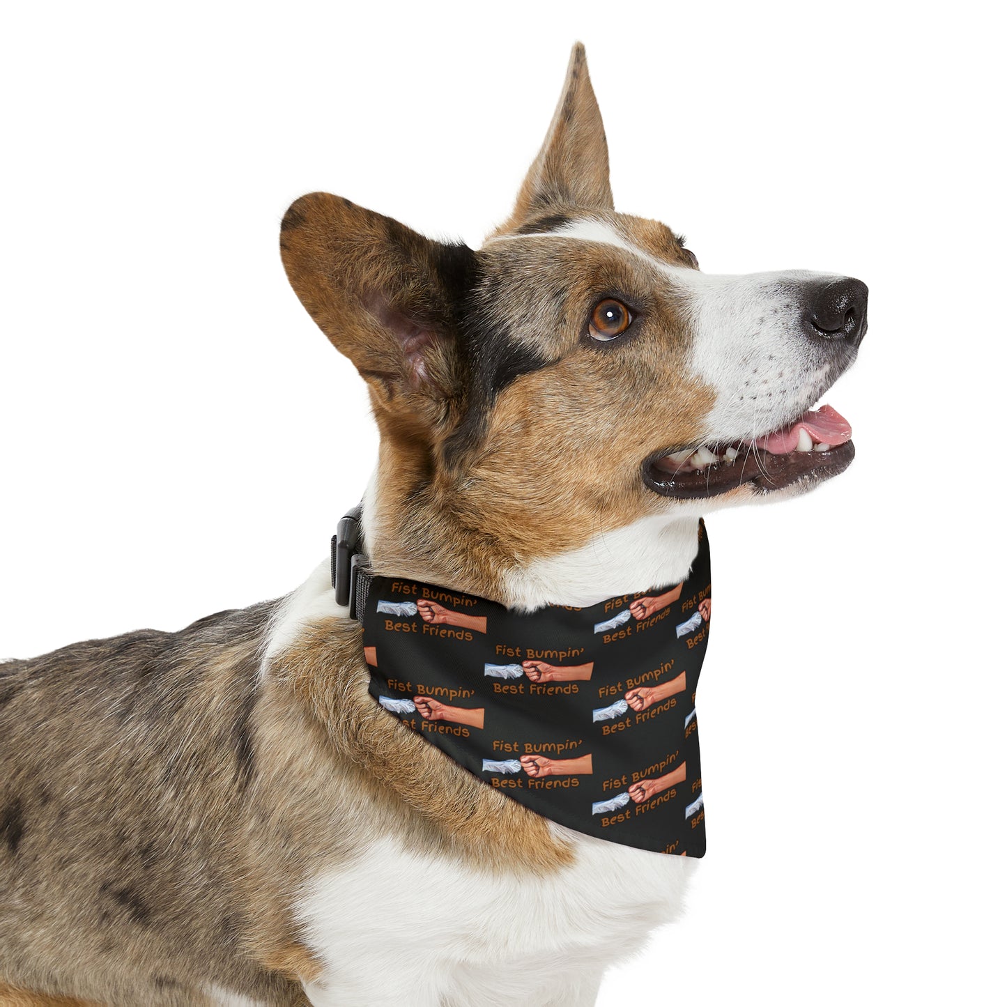 Fist Bumpin’ Best Friends Opie’s Cavalier King Charles Spaniel Pet Bandana Collar Black with Cavalier Brown lettering.