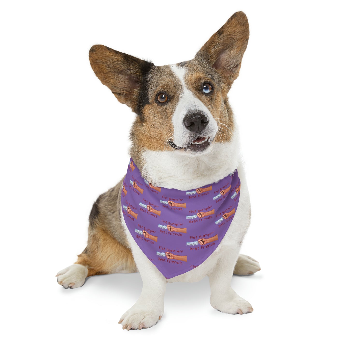 Fist Bumpin’ Best Friends Opie’s Cavalier King Charles Spaniel Paw Pet Bandana Collar Light Purple with KC Red.
