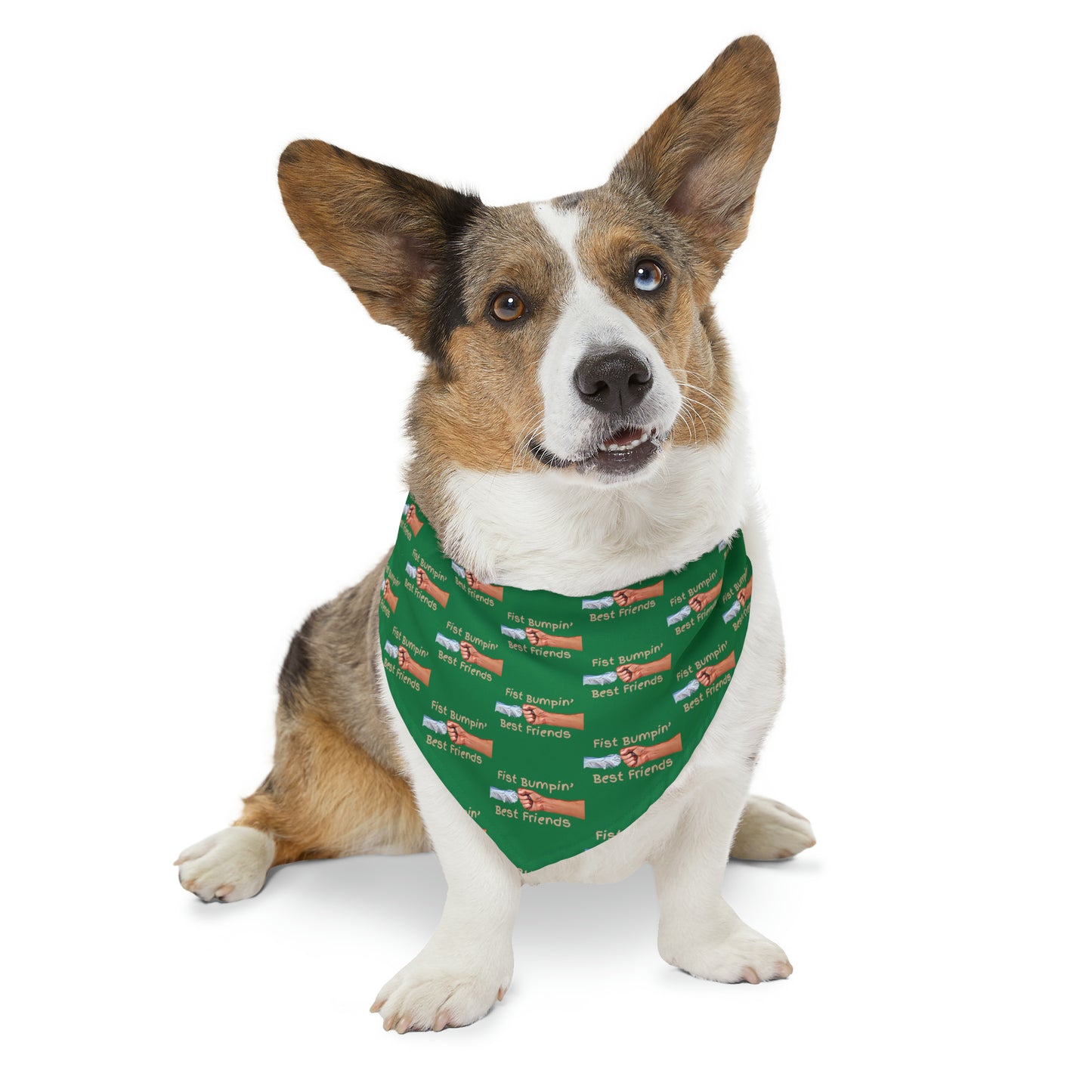 Fist Bumpin’ Best Friends Opie’s Cavalier King Charles Spaniel Pet Bandana Collar Green with Tan lettering.