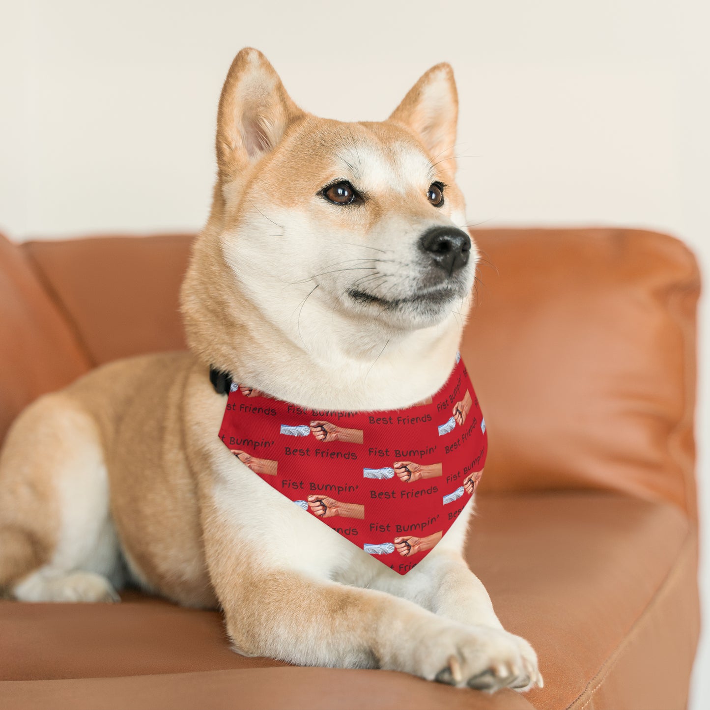 Fist Bumpin’ Best Friends Opie’s Cavalier King Charles Spaniel Paw Pet Bandana Collar Red with Black lettering.