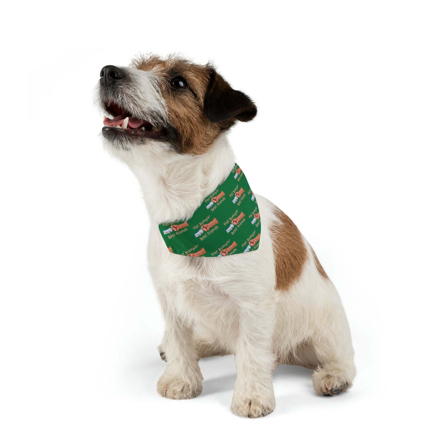 Fist Bumpin’ Best Friends Opie’s Cavalier King Charles Spaniel Pet Bandana Collar Green with Tan lettering.