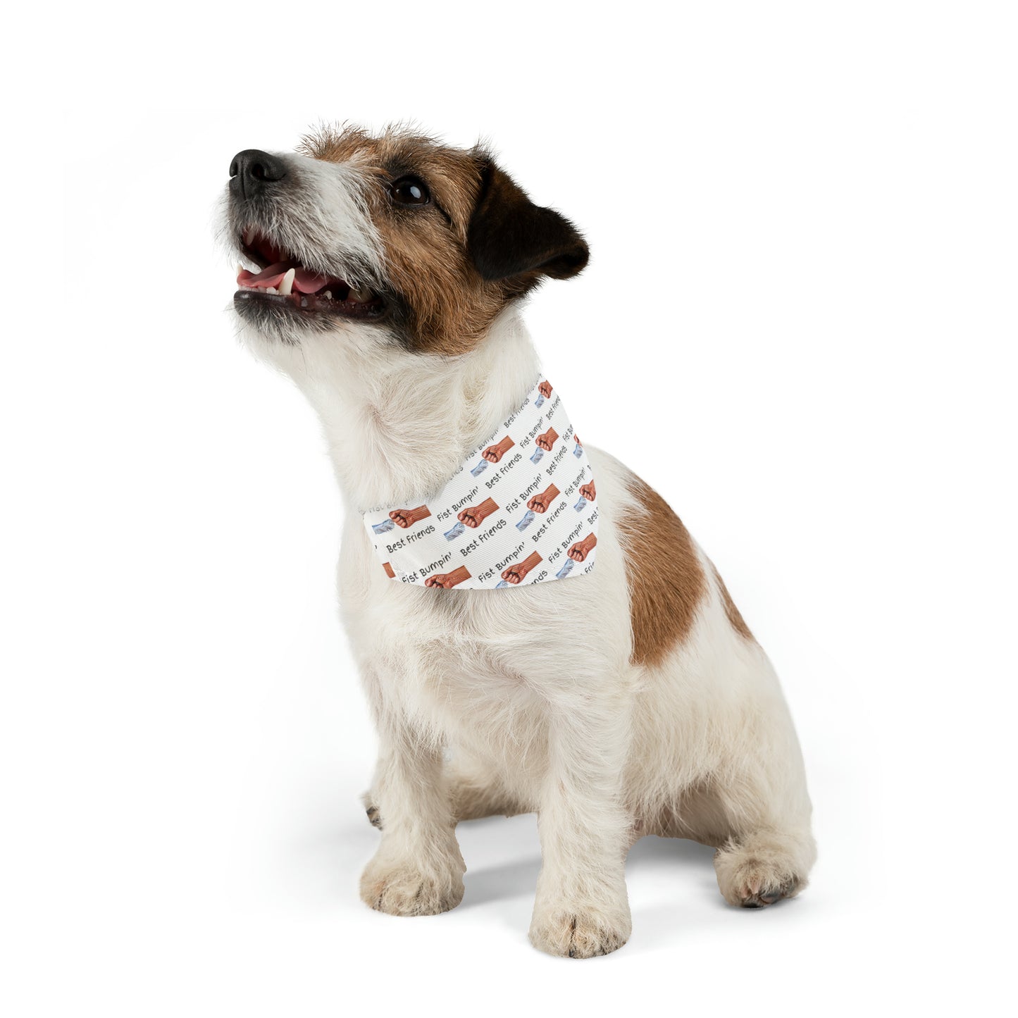 Fist Bumpin’ Best Friends Opie’s Cavalier King Charles Spaniel Paw Pet Bandana Collar White with Black lettering.