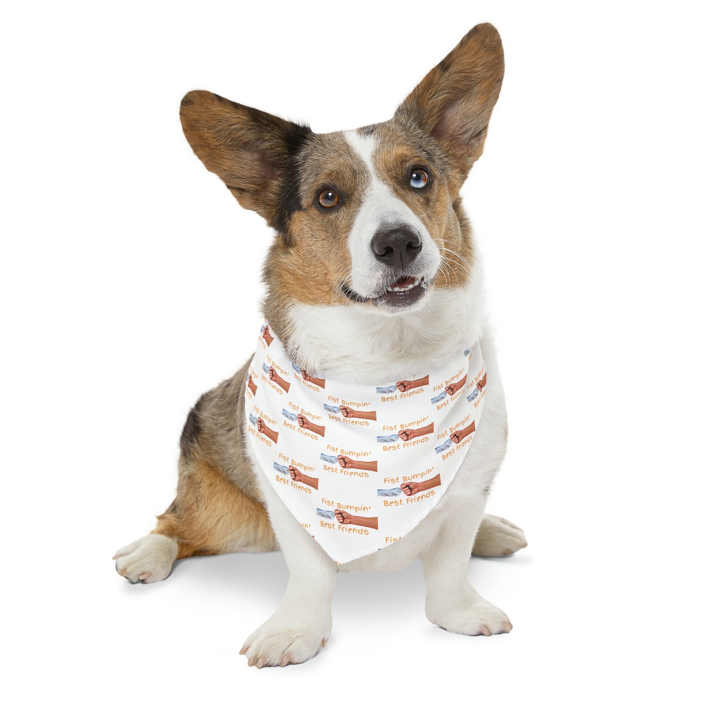Fist Bumpin’ Best Friends Opie’s Cavalier King Charles Spaniel Paw Pet Bandana Collar White with Gold lettering.