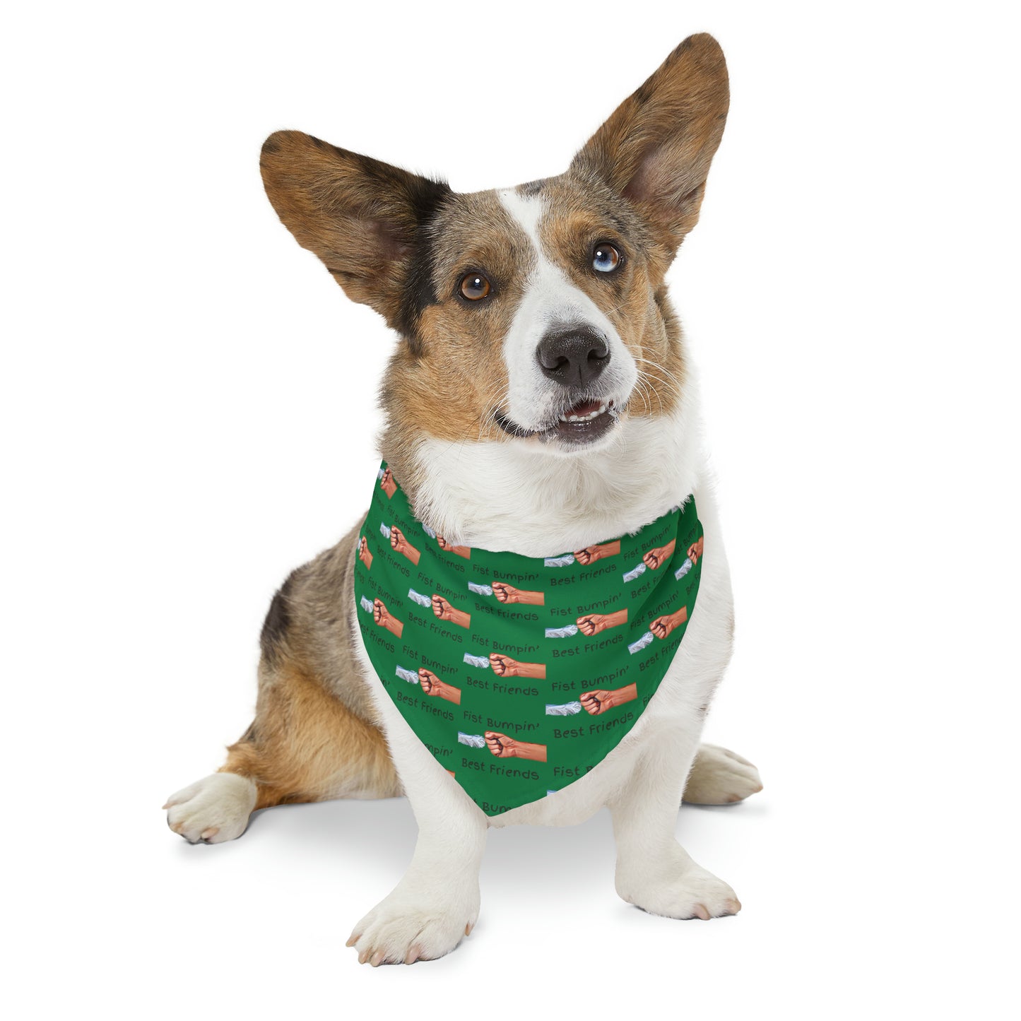 Fist Bumpin’ Best Friends Opie’s Cavalier King Charles Spaniel Paw Pet Bandana Collar Green with Black lettering.