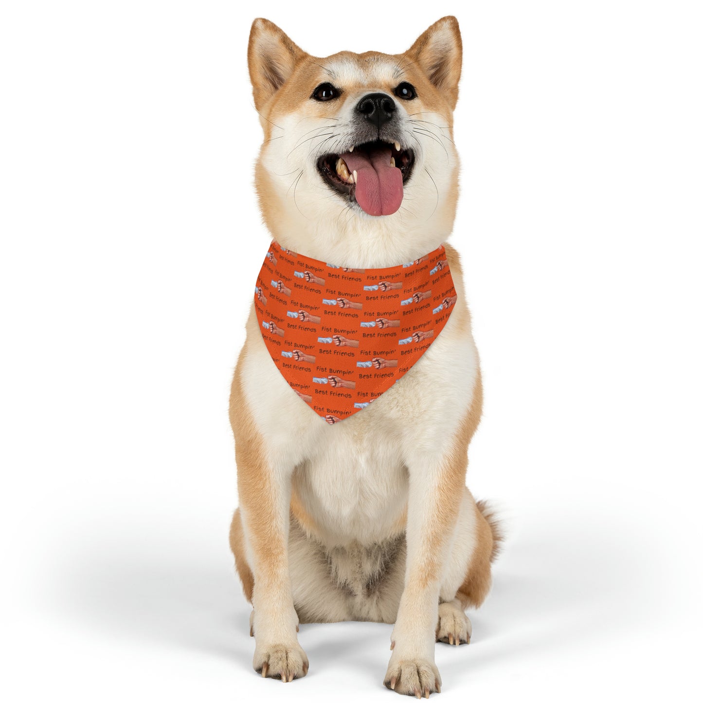 Fist Bumpin’ Best Friends Opie’s Cavalier King Charles Spaniel Paw Pet Bandana Collar Orange with Black lettering.