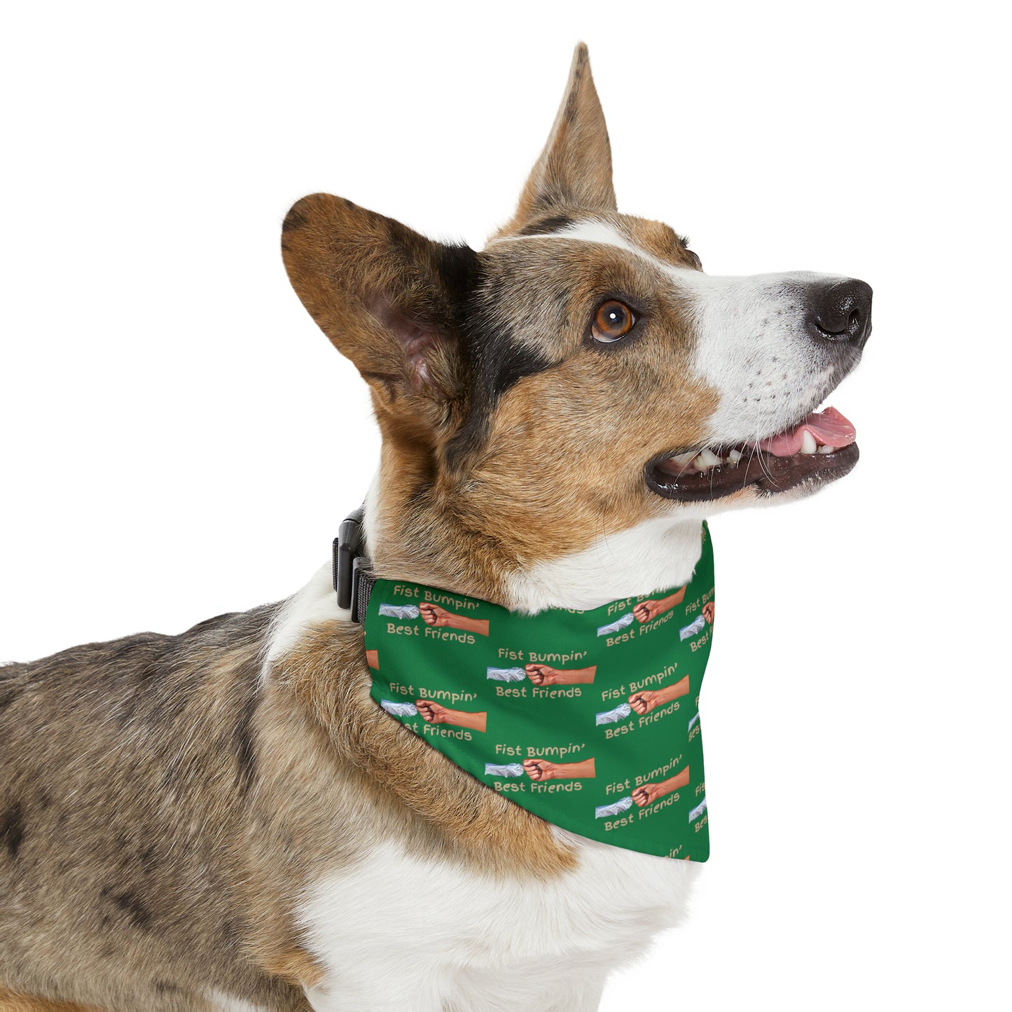 Fist Bumpin’ Best Friends Opie’s Cavalier King Charles Spaniel Pet Bandana Collar Green with Tan lettering.