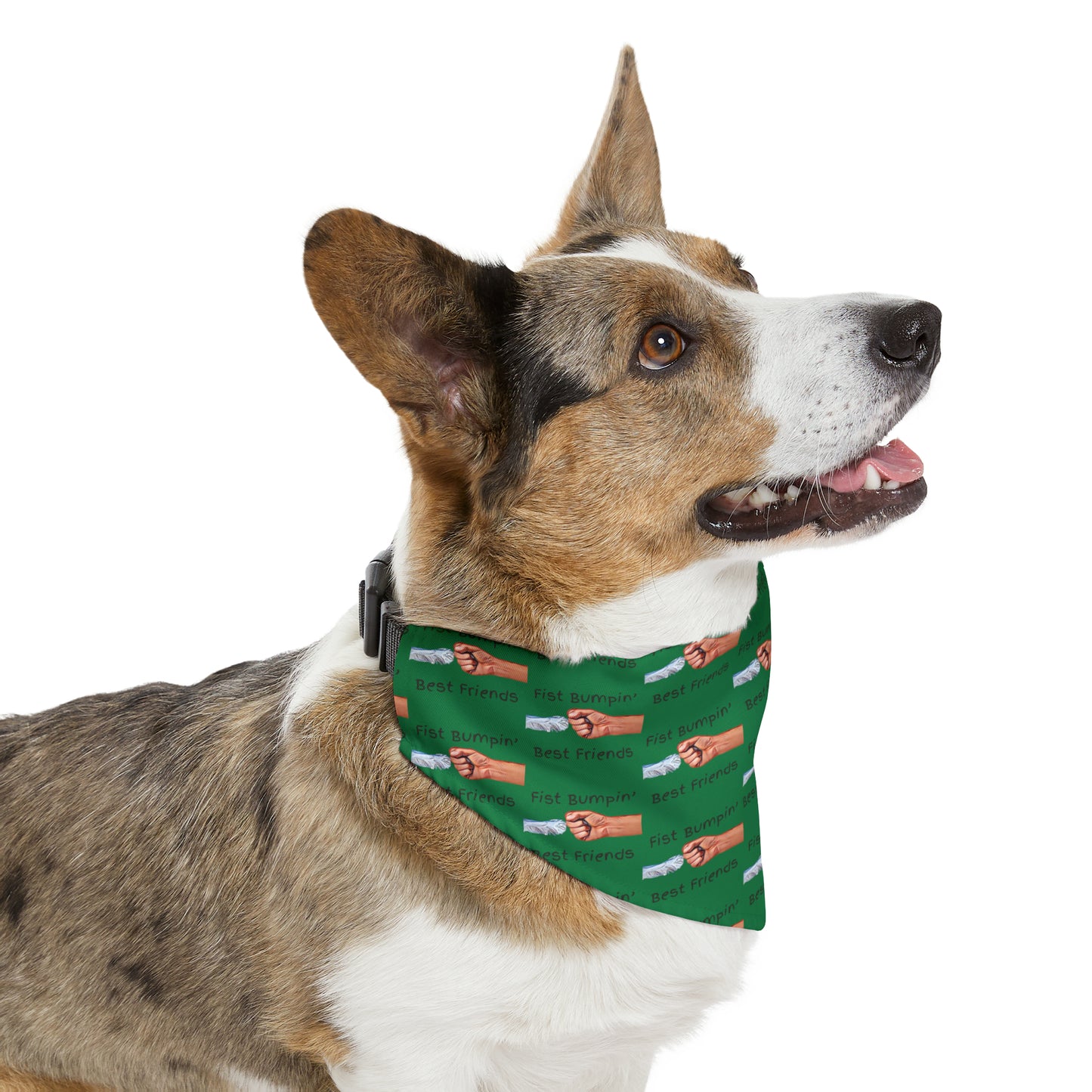 Fist Bumpin’ Best Friends Opie’s Cavalier King Charles Spaniel Paw Pet Bandana Collar Green with Black lettering.