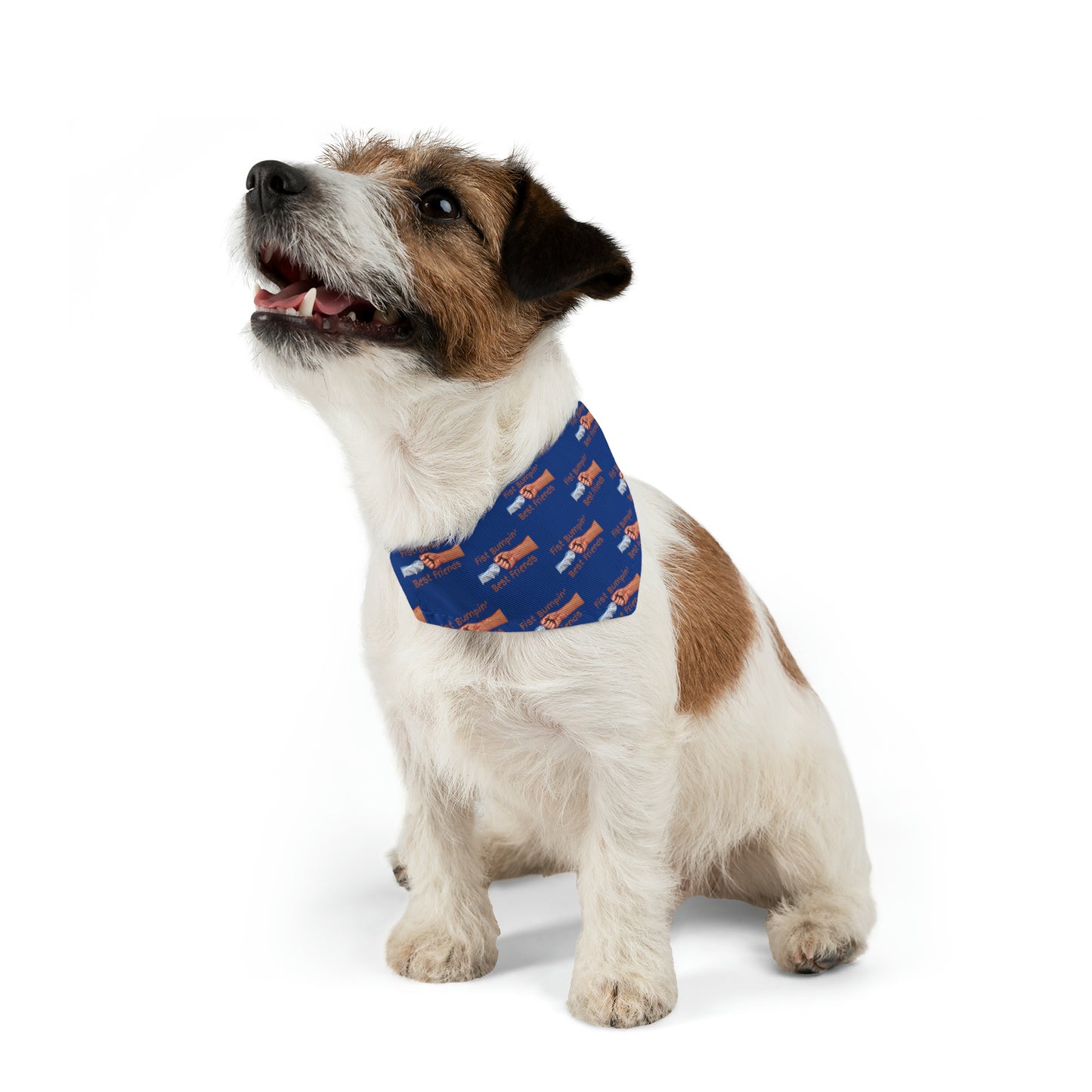 Fist Bumpin’ Best Friends Opie’s Cavalier King Charles Spaniel Pet Bandana Collar Blue with Brown lettering.