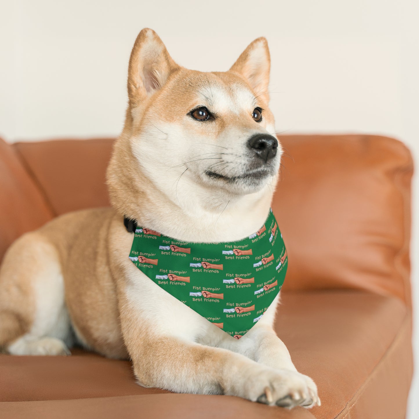 Fist Bumpin’ Best Friends Opie’s Cavalier King Charles Spaniel Pet Bandana Collar Green with Tan lettering.