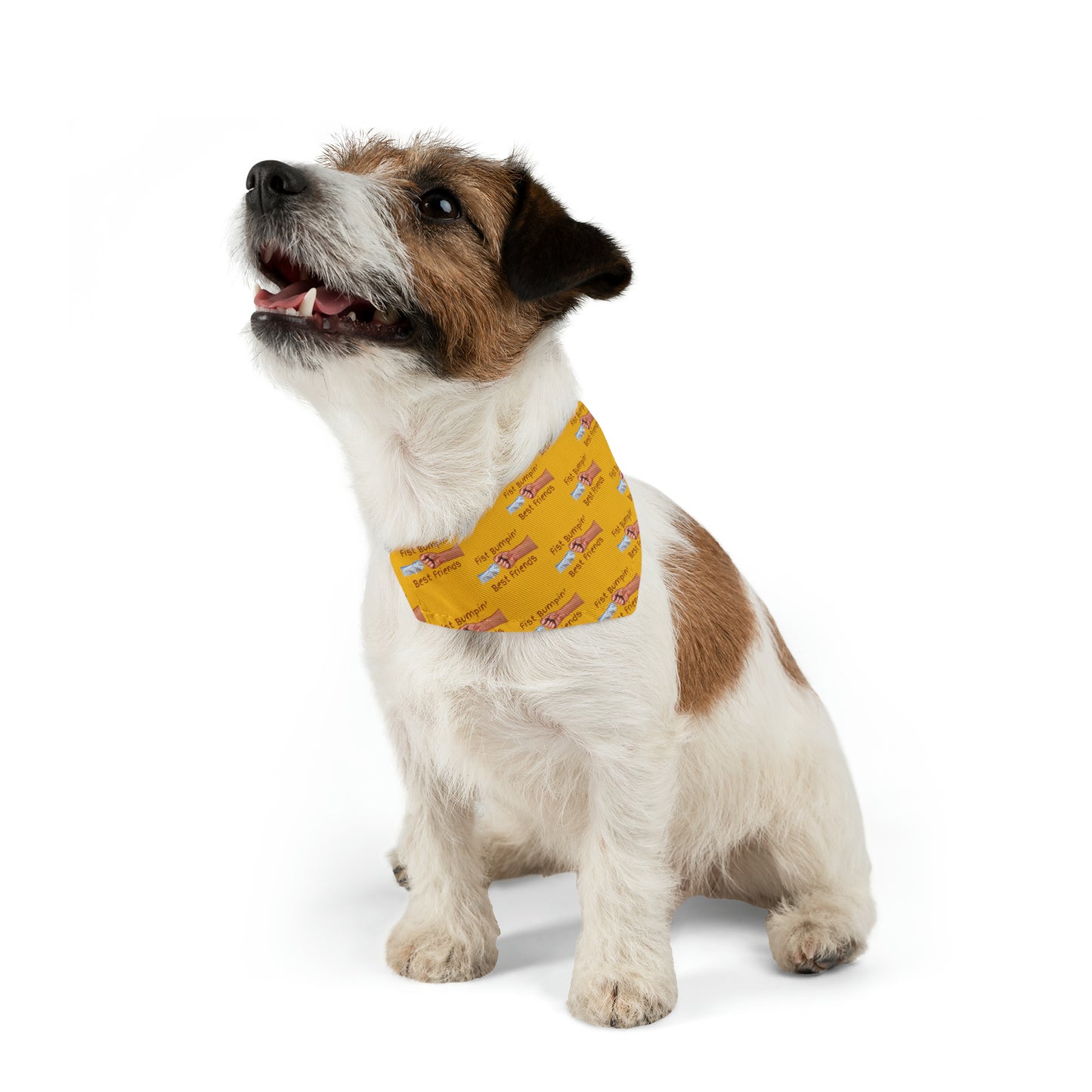 Fist Bumpin’ Best Friends Opie’s Cavalier King Charles Spaniel Paw Pet Bandana Collar Yellow with Red lettering.